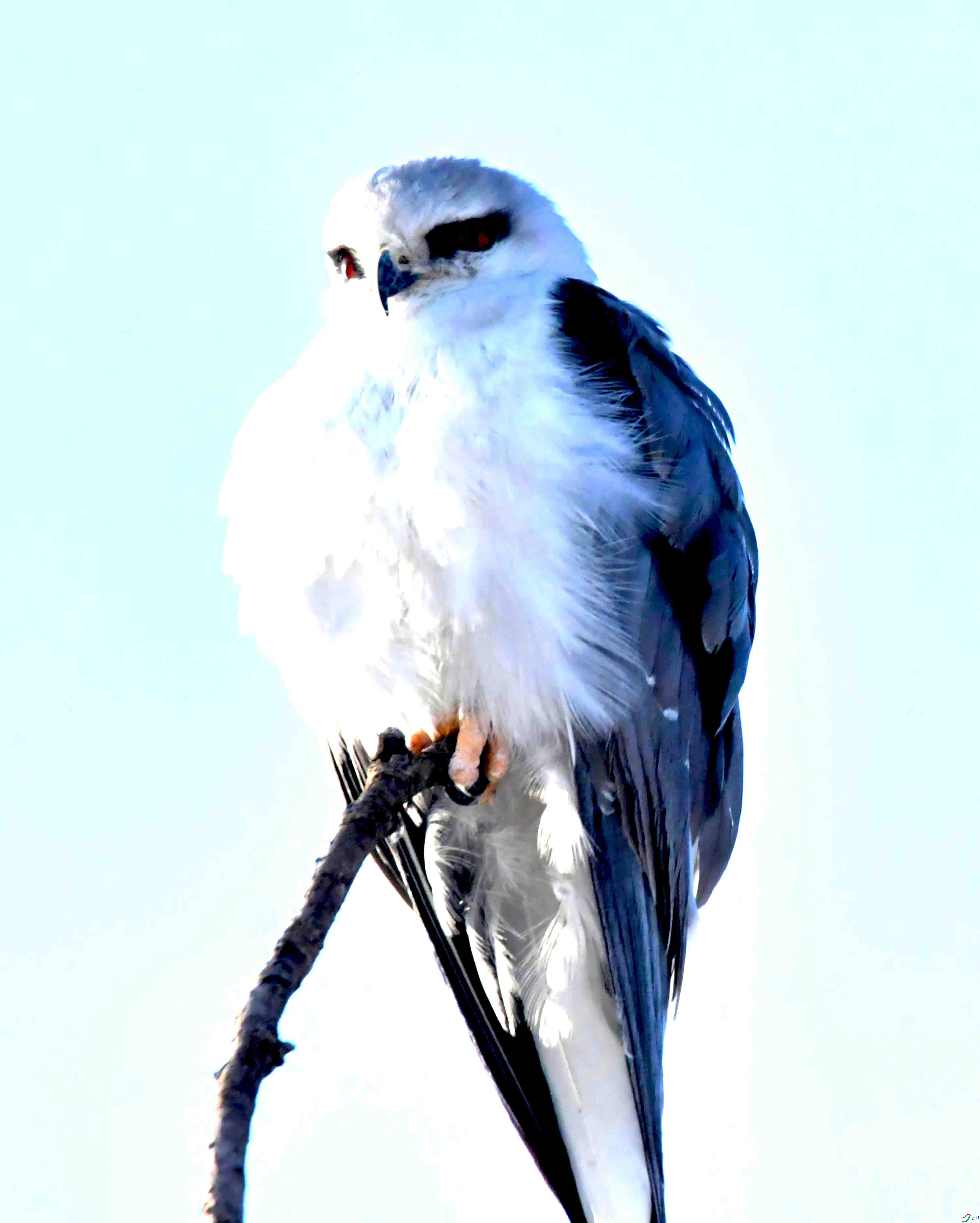 DSC_2089.JPG