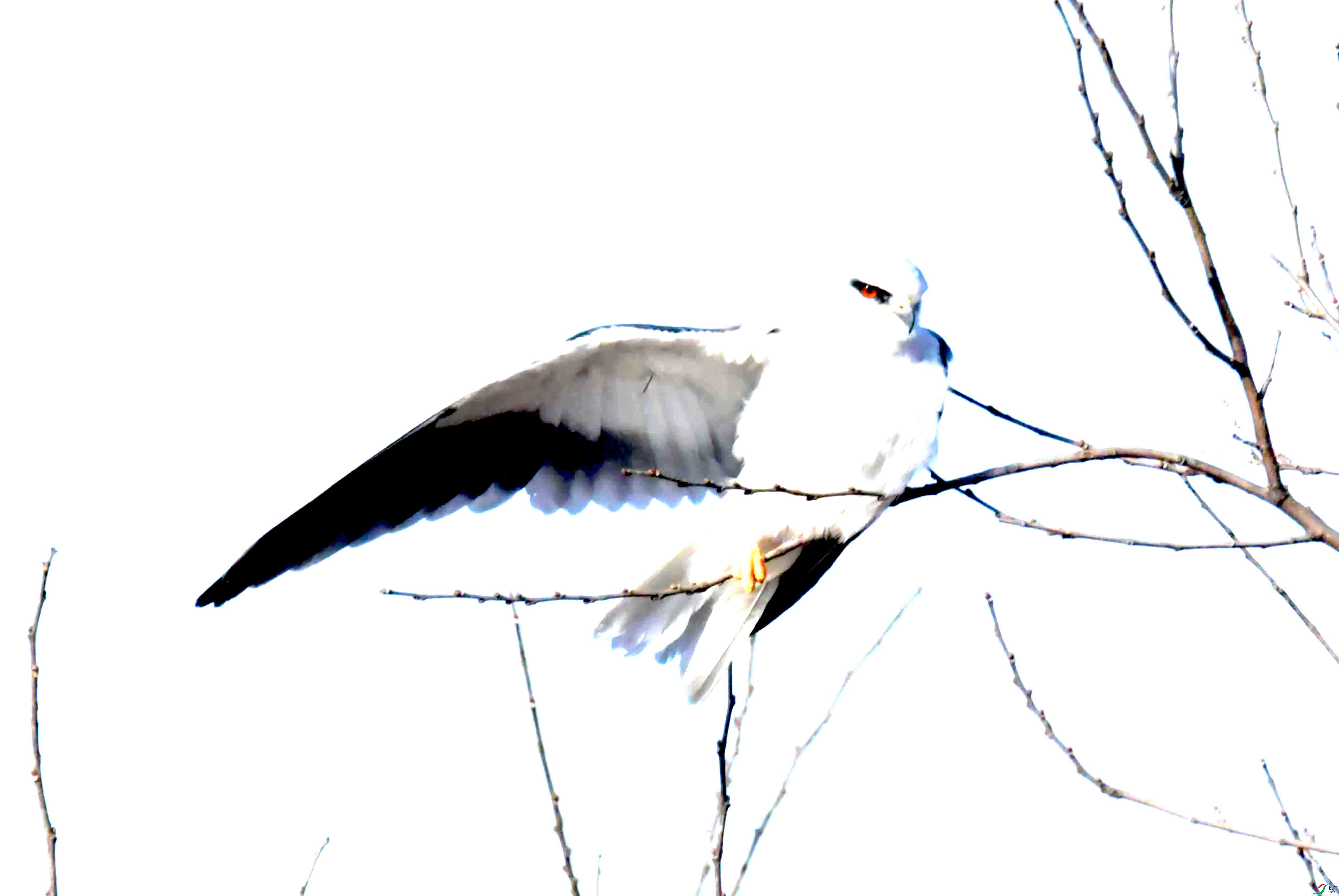 DSC_4715.JPG