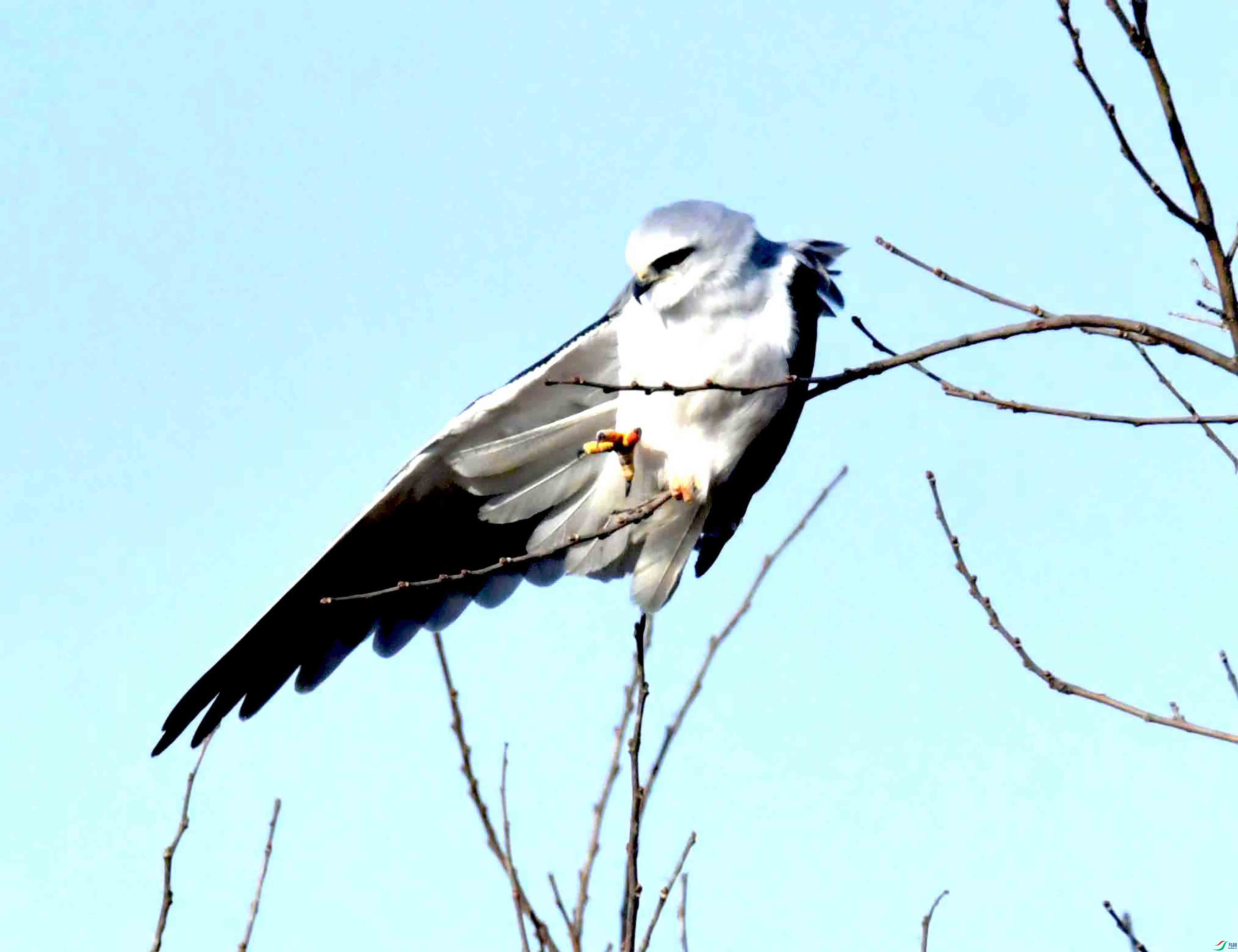 DSC_4698.JPG
