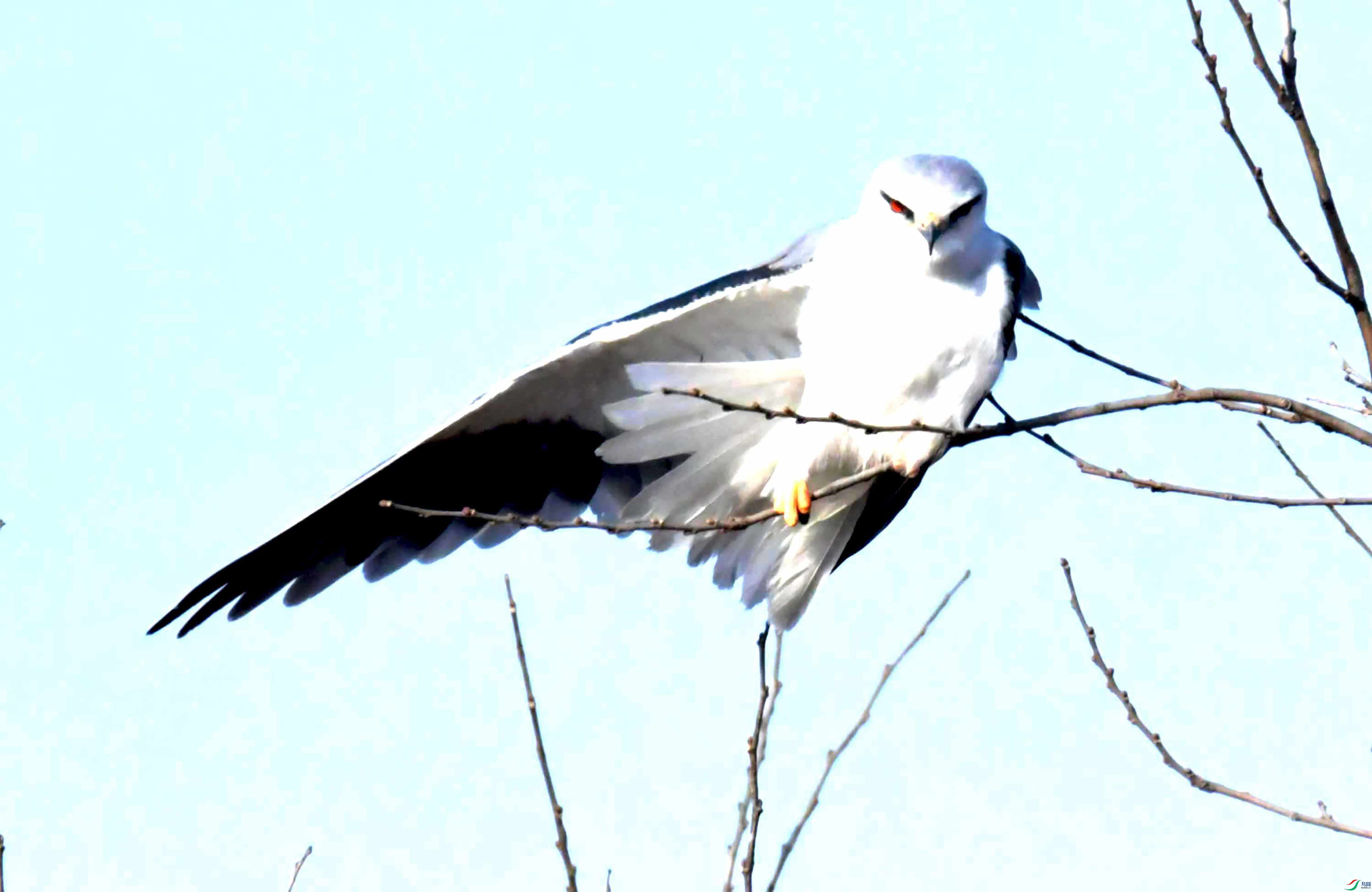 DSC_4718.JPG