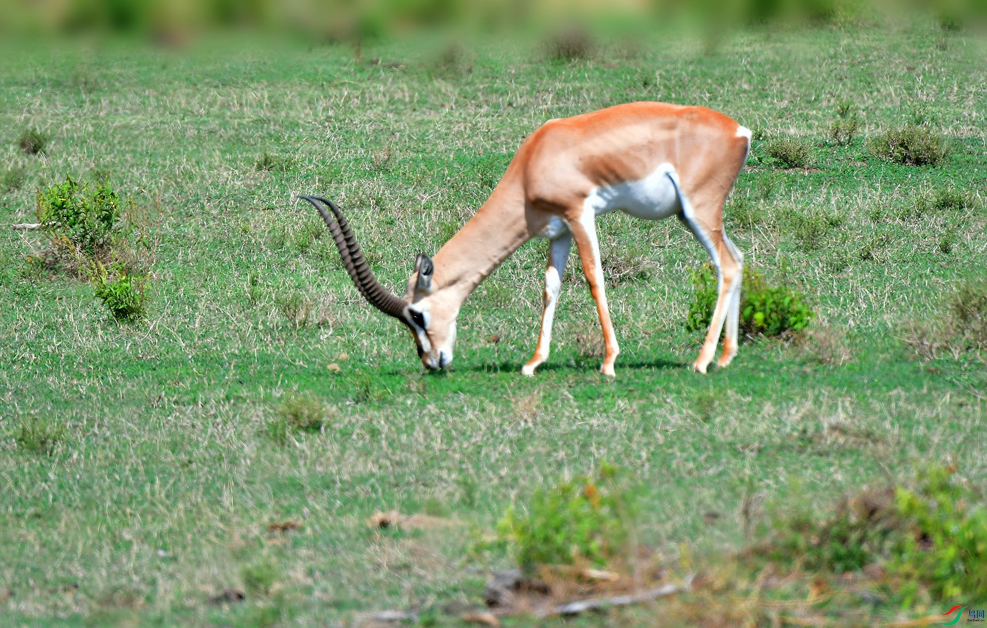 DSC_1188_.jpg