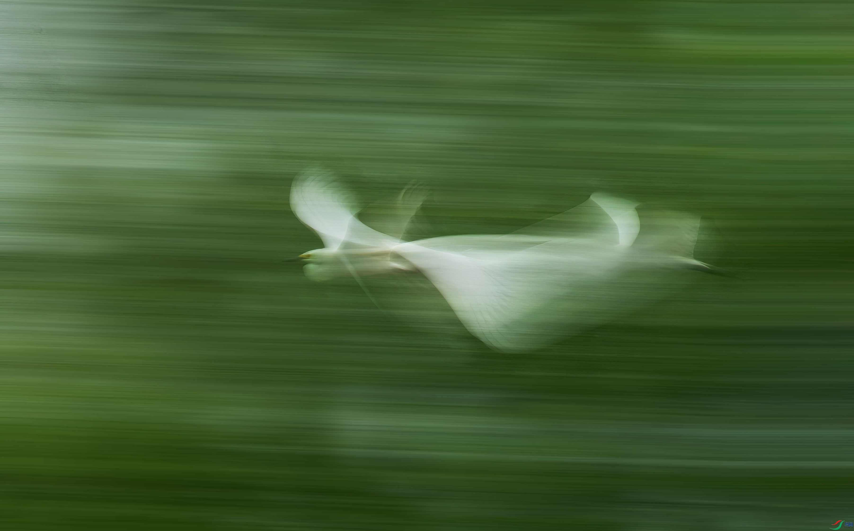 DSC_2953.jpg