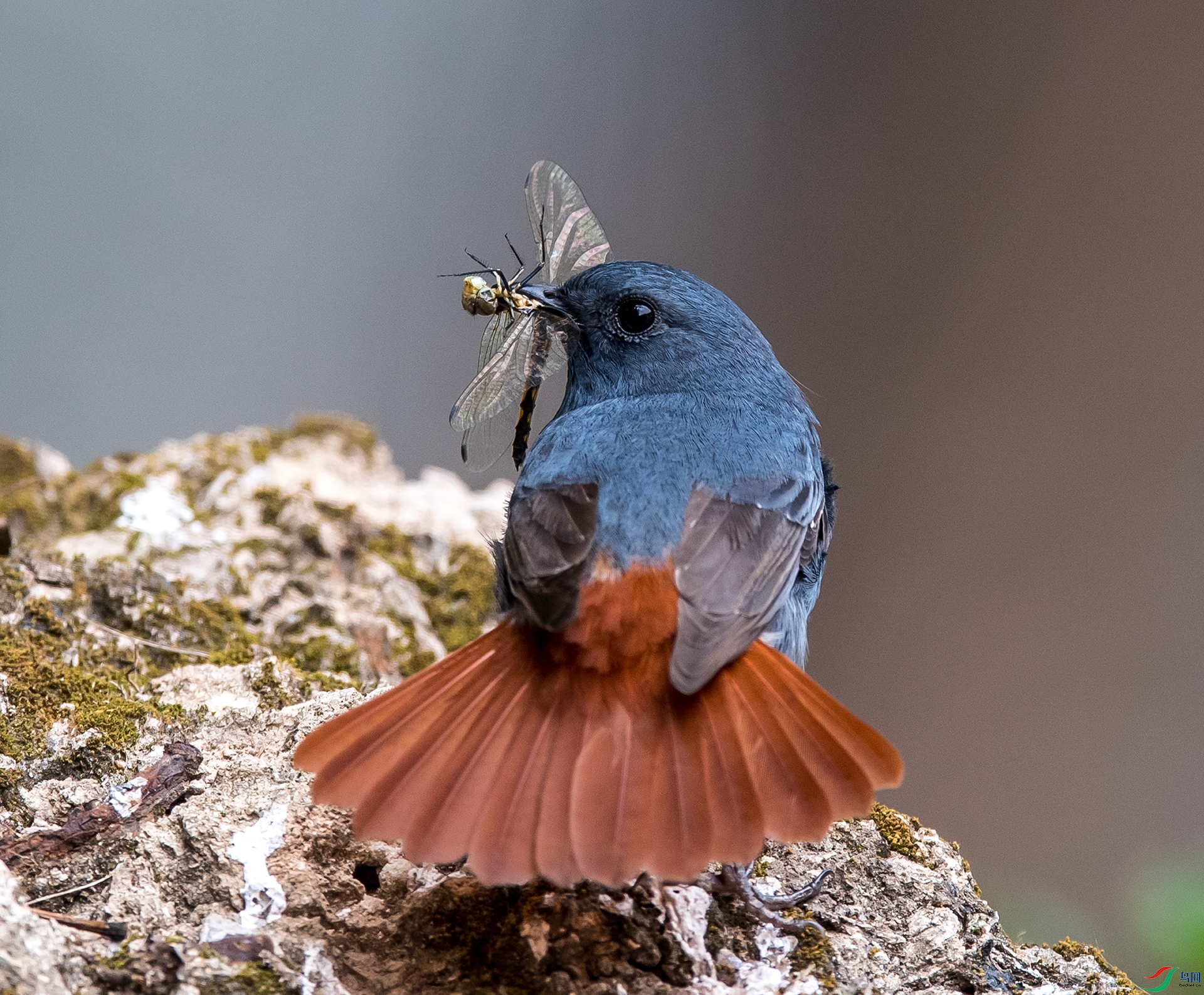 DSC_9279-4.jpg