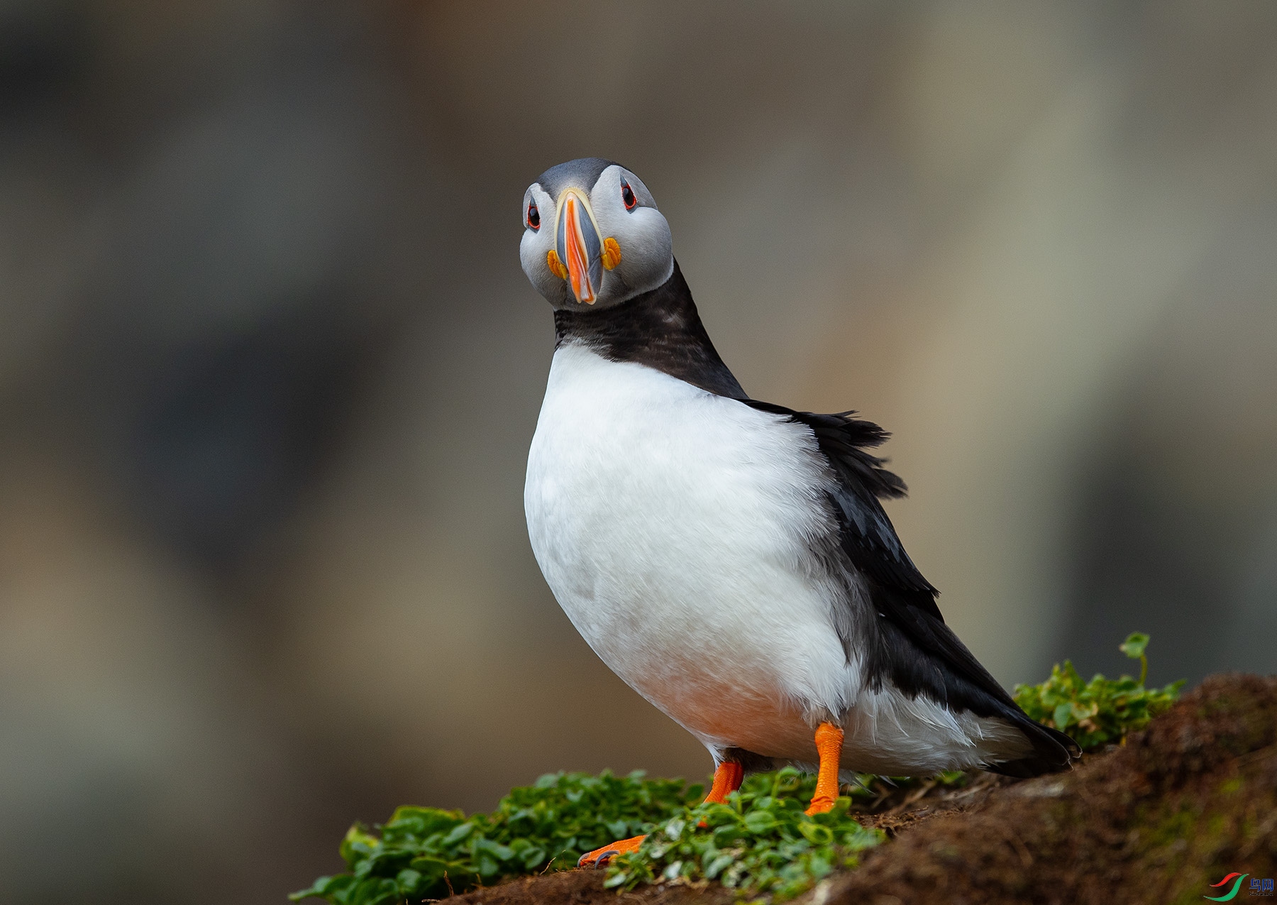 ��DSC_9890 ��ؐ.jpg