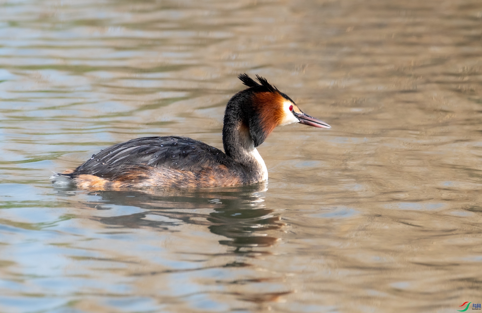 DSC_8522.jpg