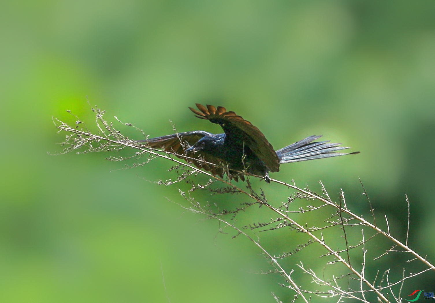 FILE2800.JPG