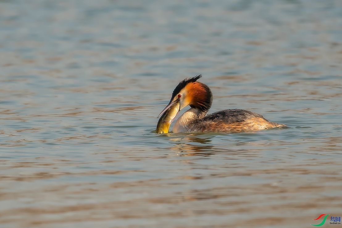 DSC_9901.jpg