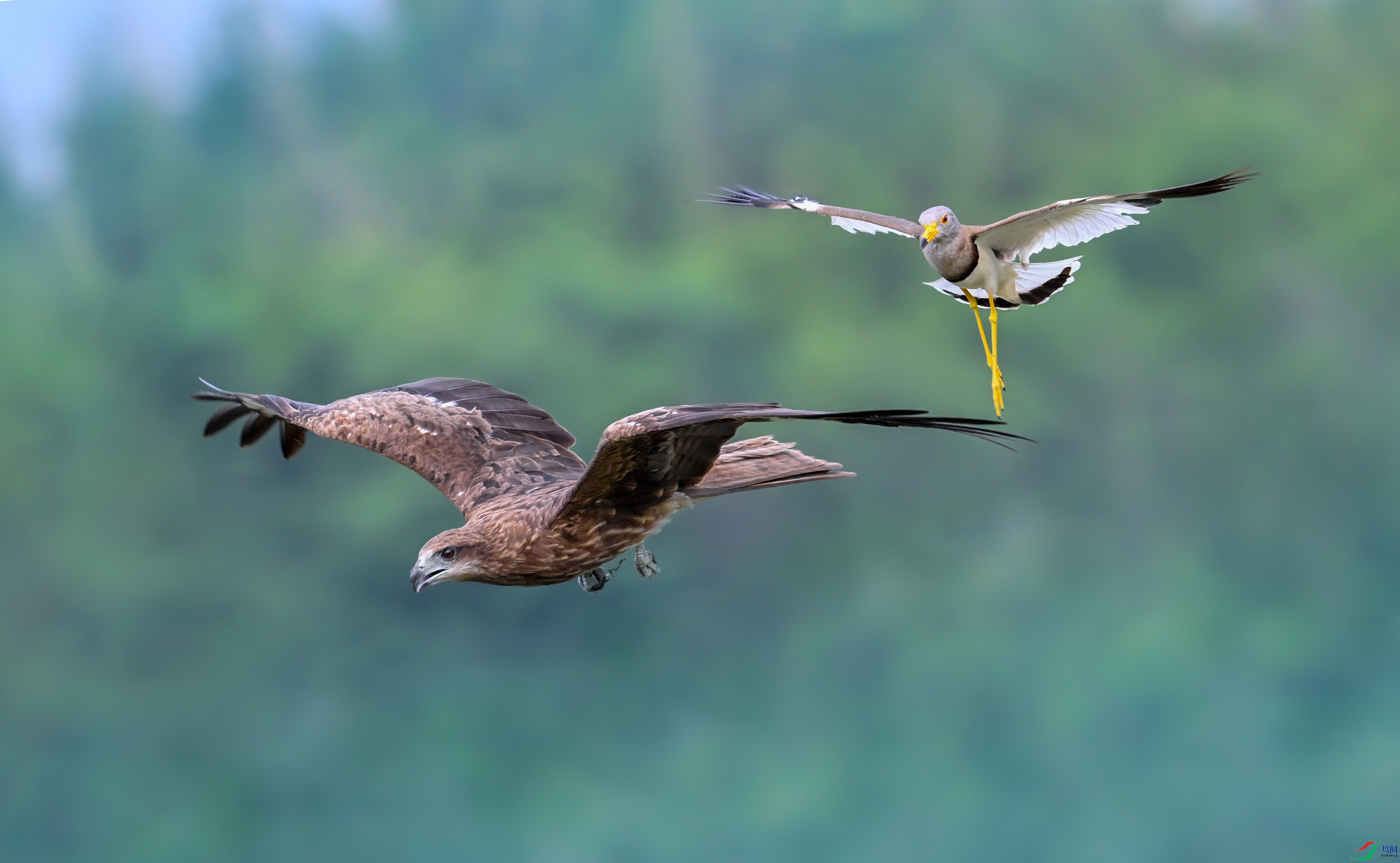 ��ͼDSC_1690.jpg