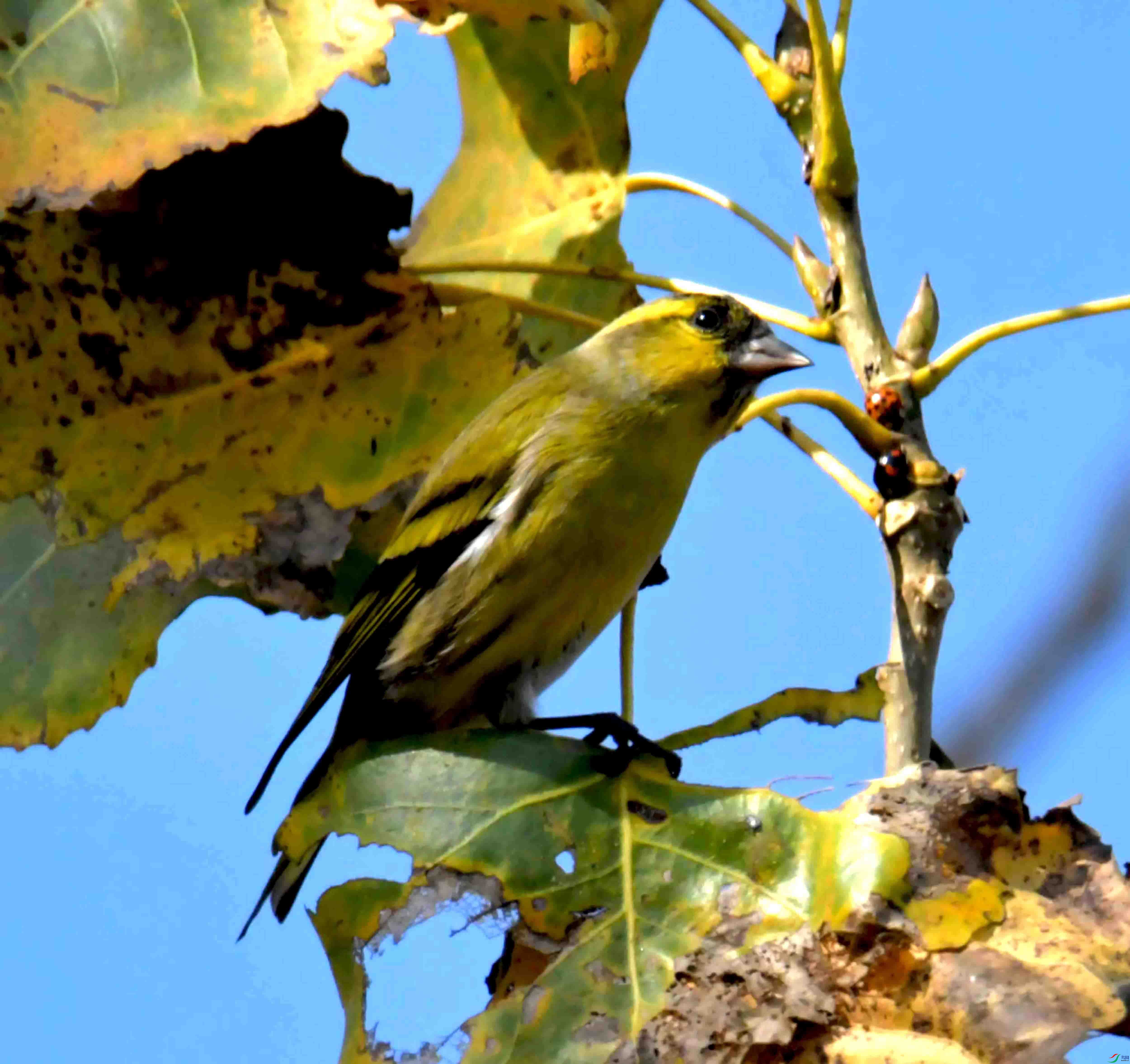 DSC_6101.JPG