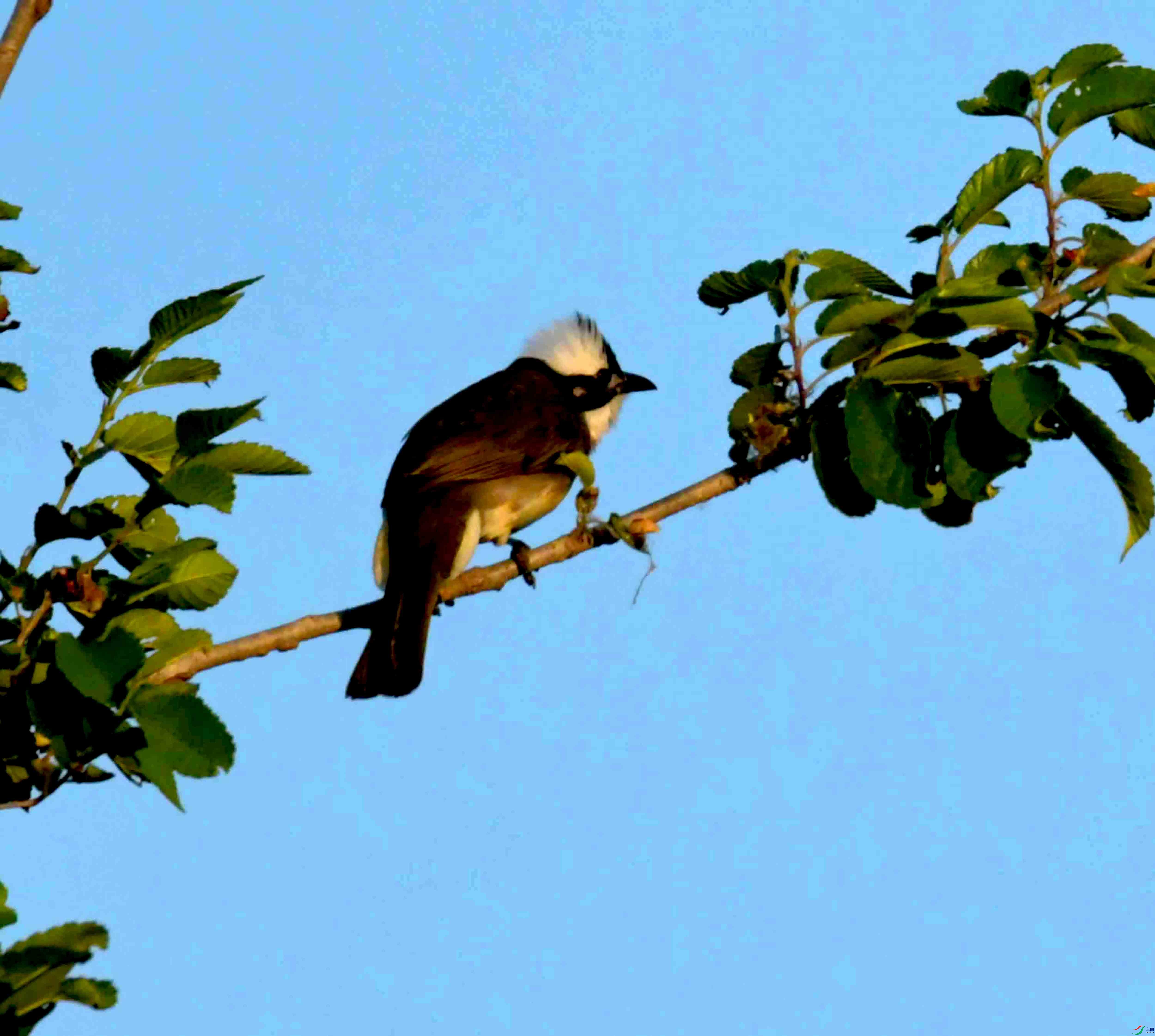 DSC_1841.JPG