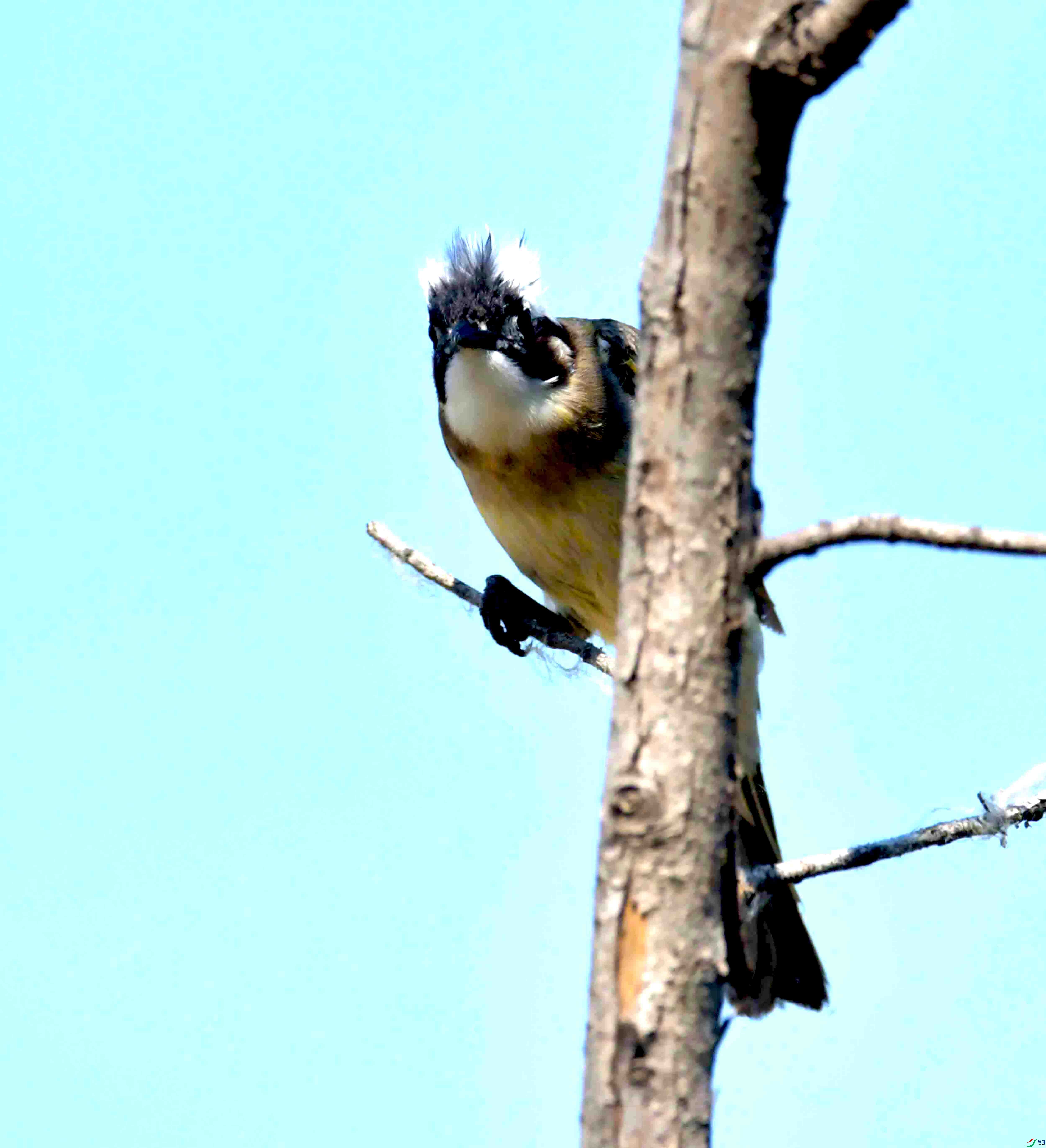 DSC_2042.JPG