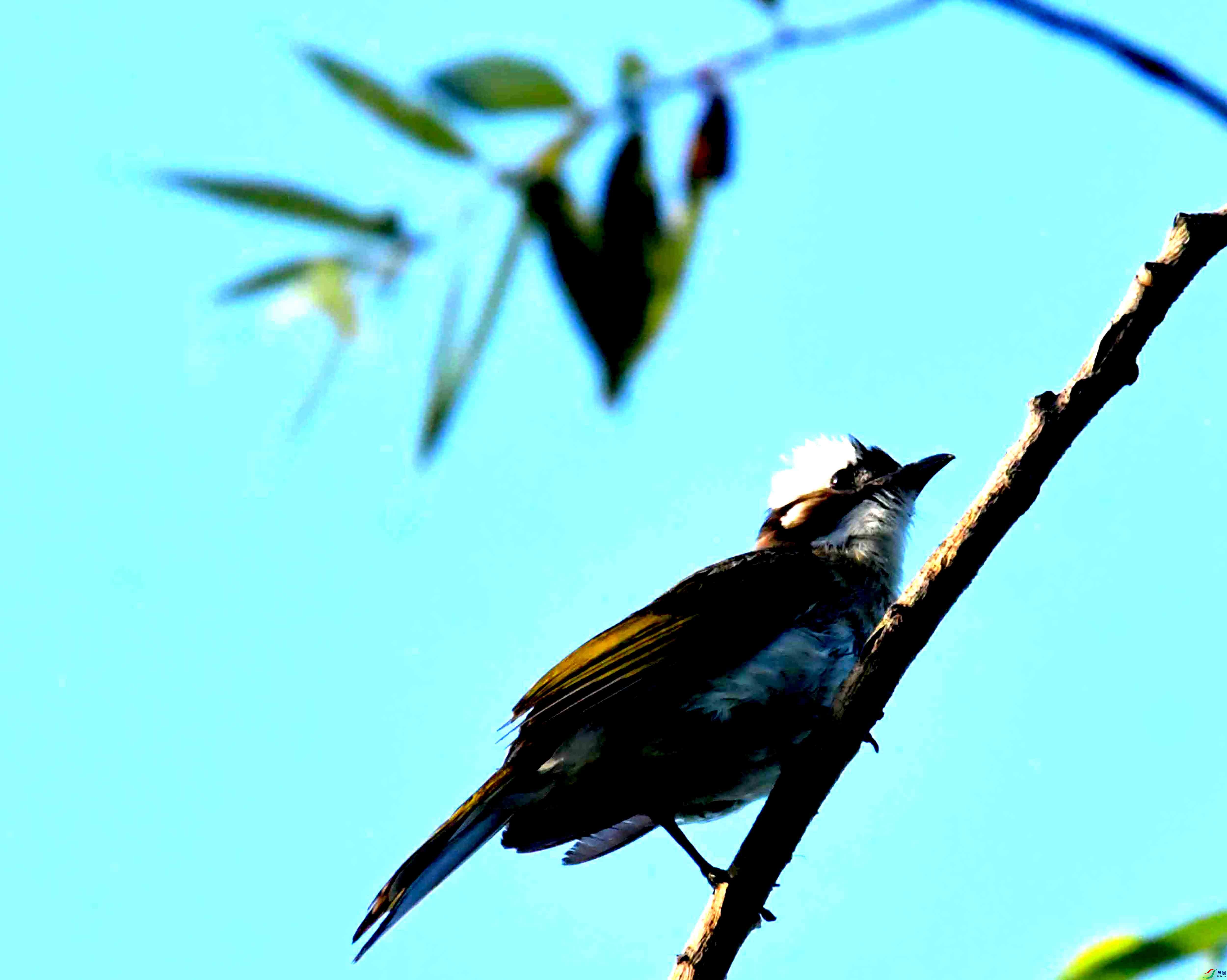 DSC_3100.JPG