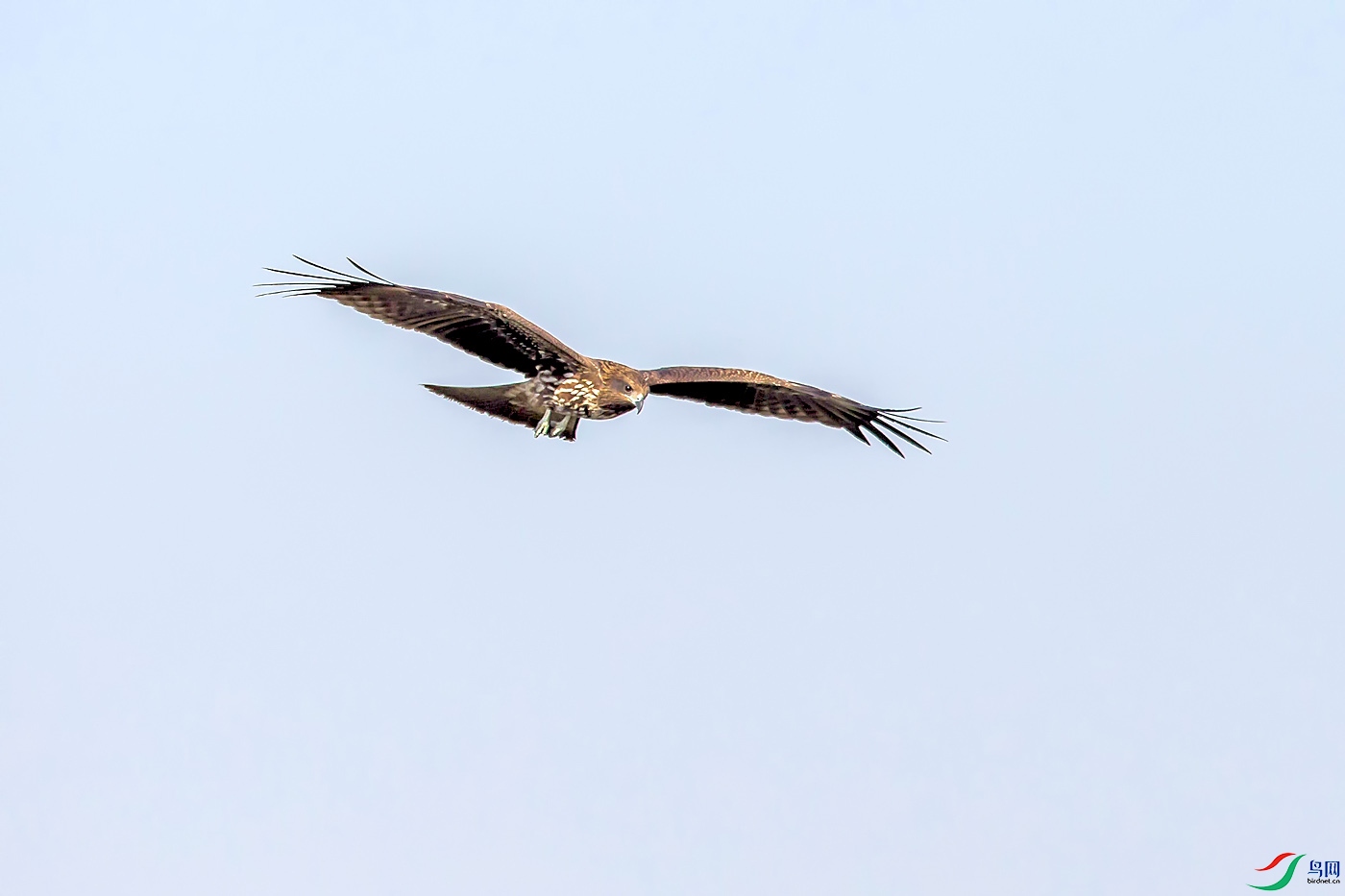 _E8J3378.jpg
