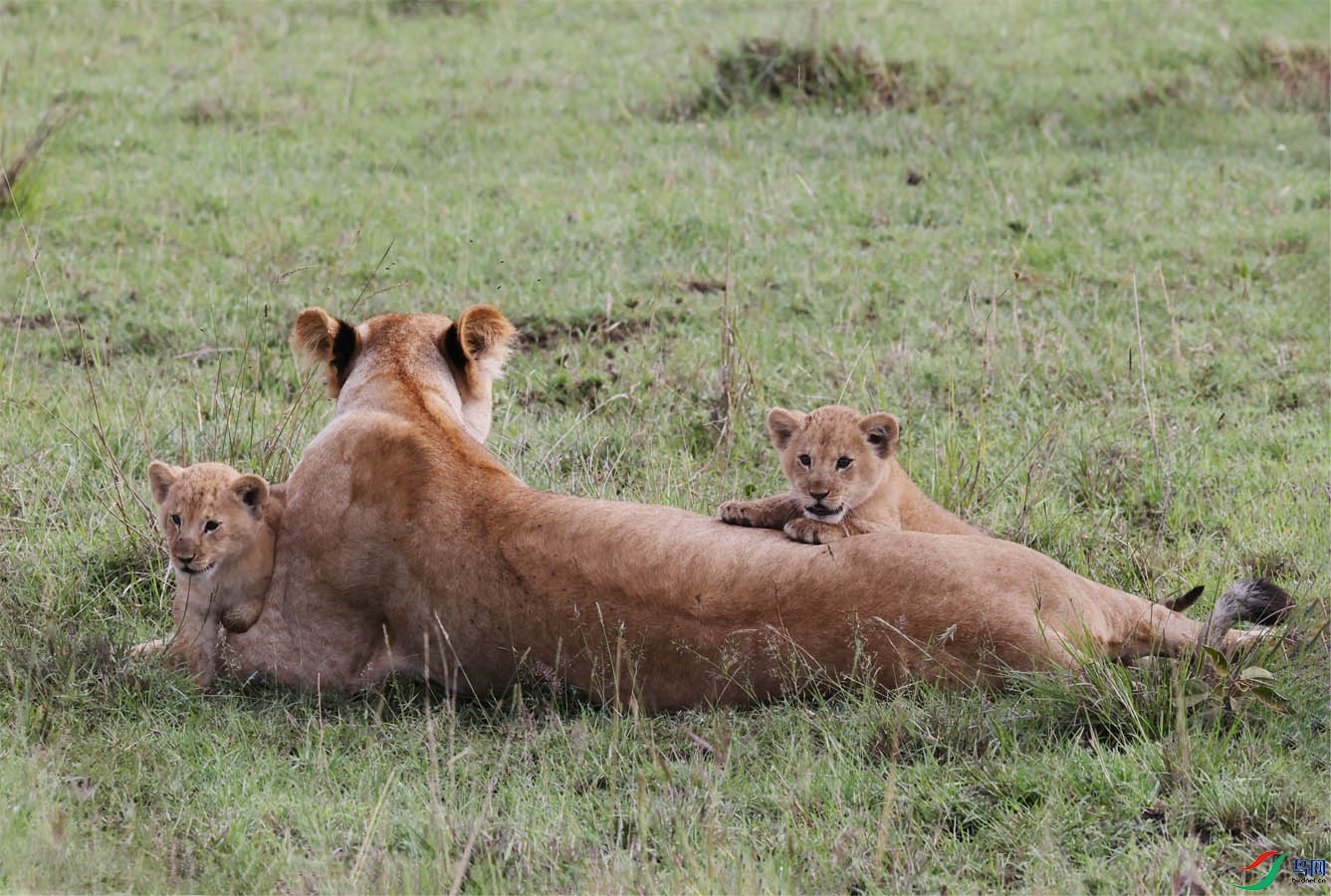 �������ֻ����126 ����.jpg