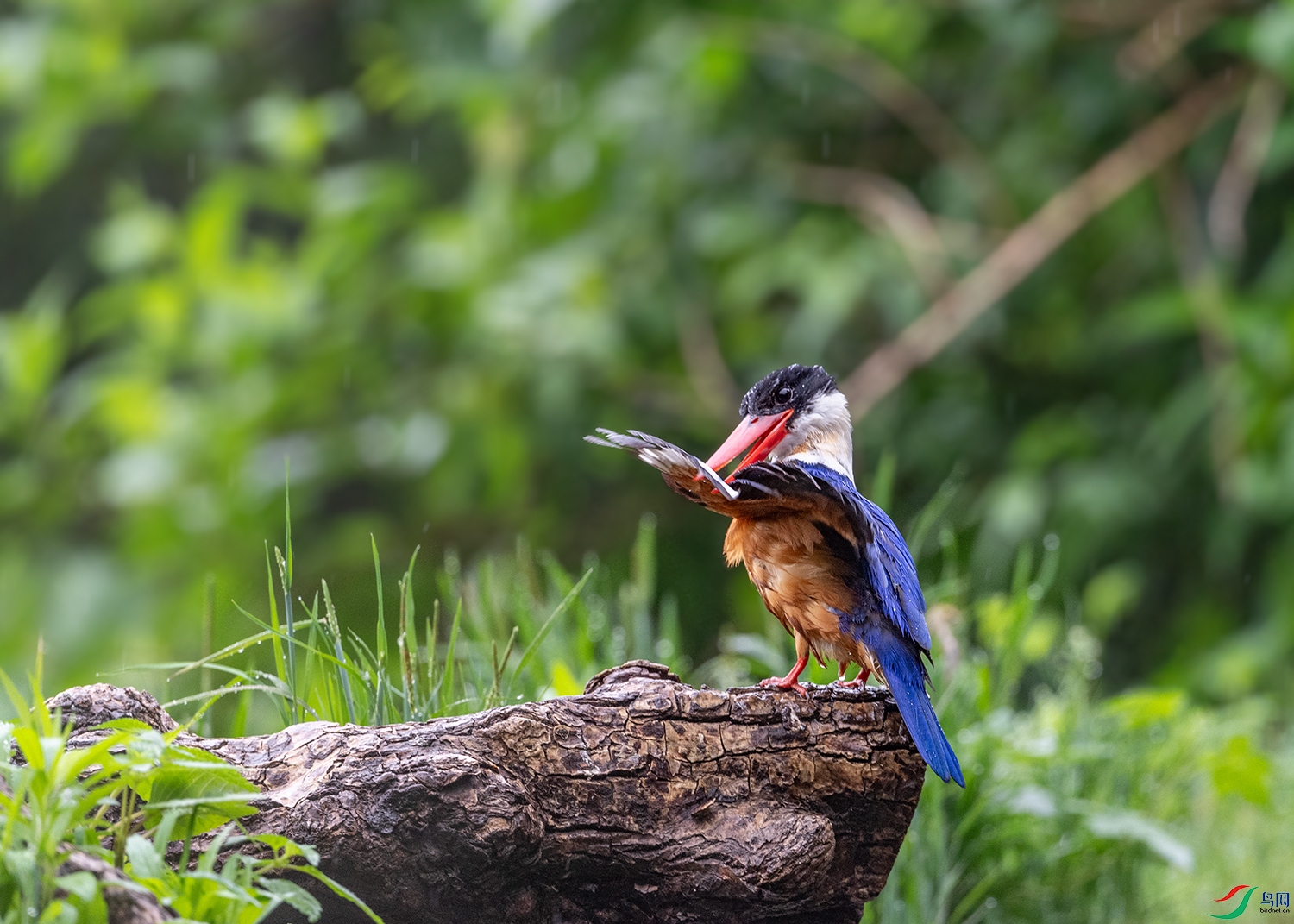 DSC_8418-2.jpg