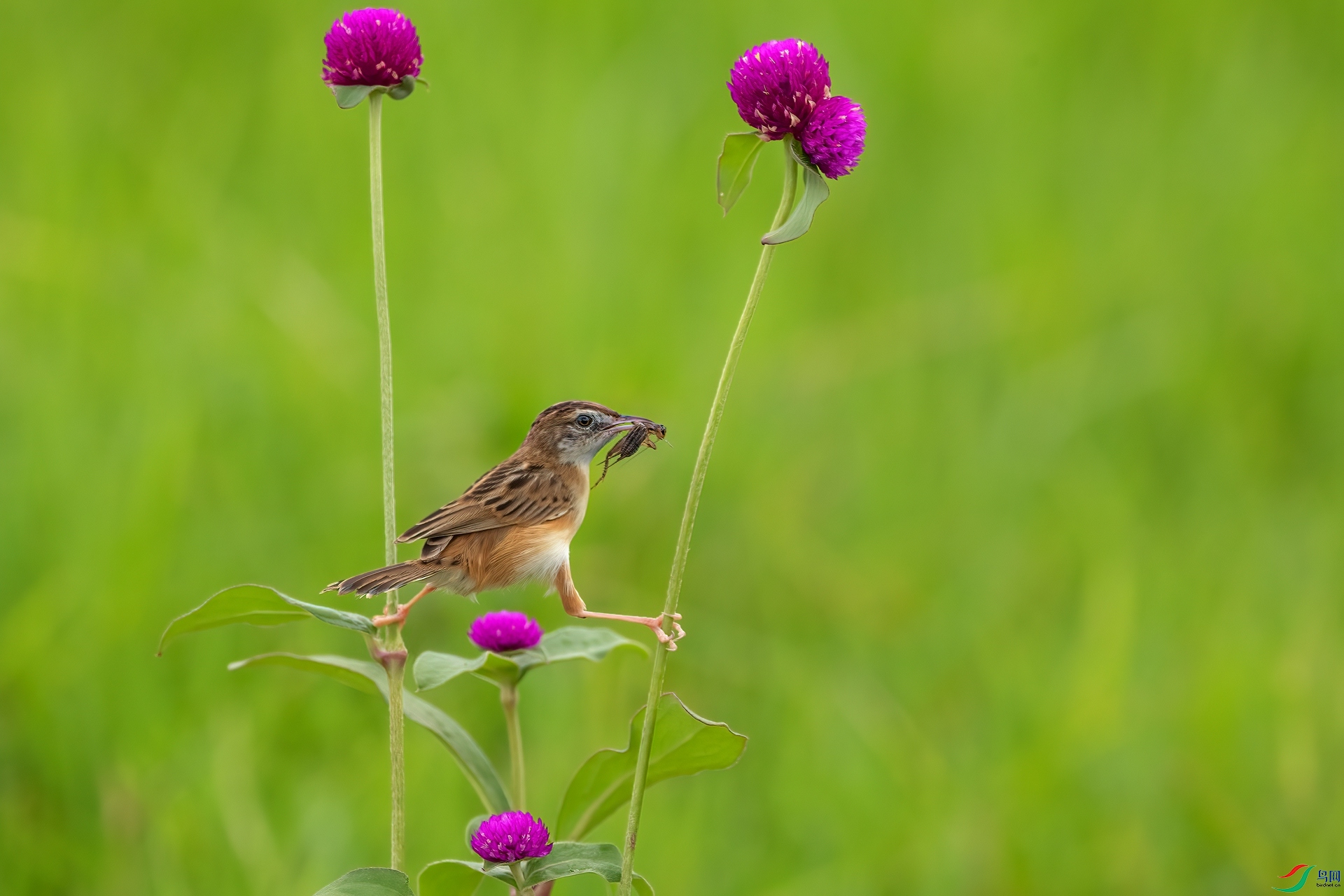 B86I3311 _����.jpg