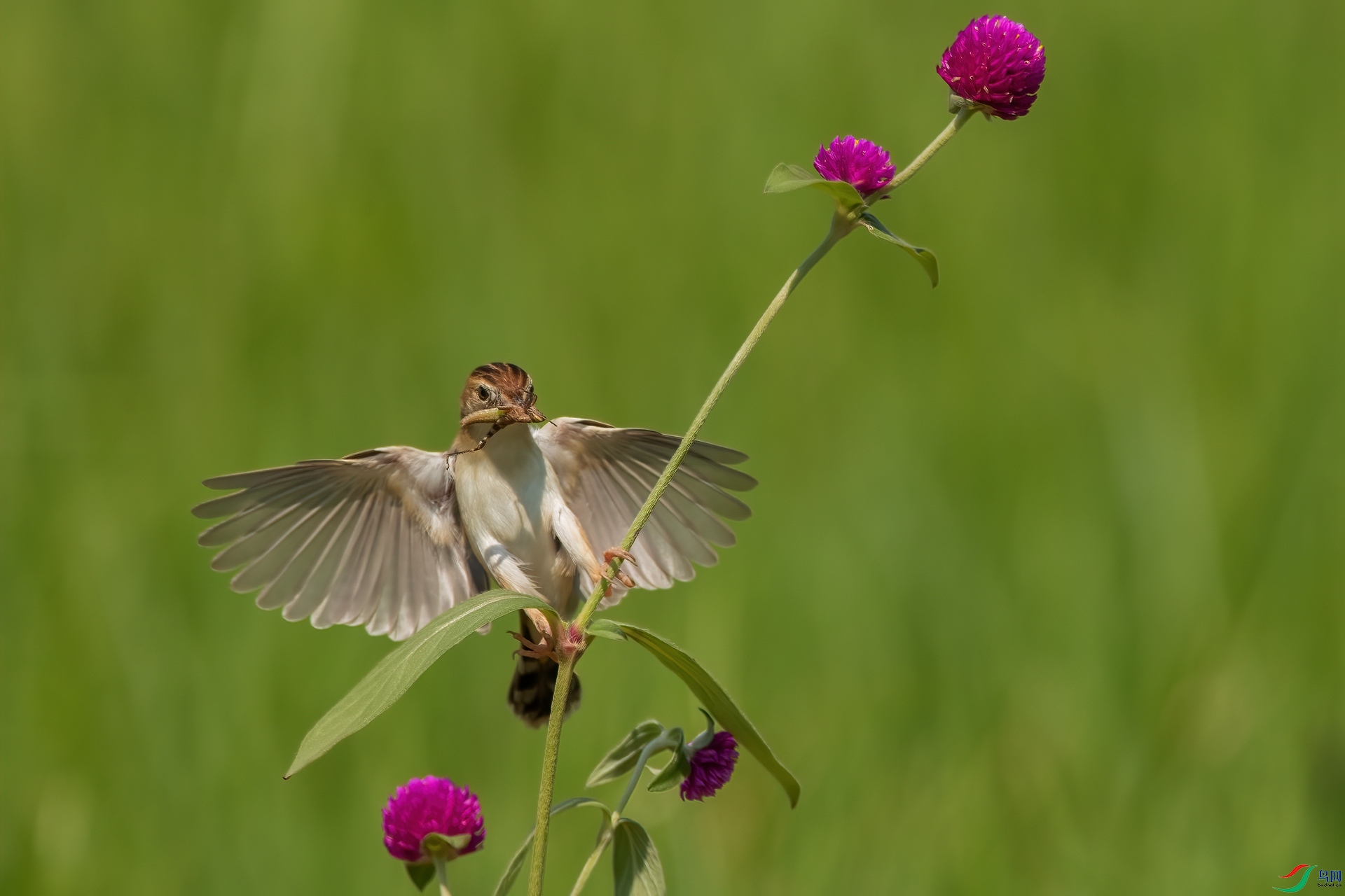 B86I5051 _����.jpg