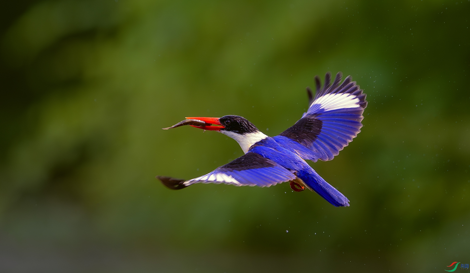 DSC_0631==1w.jpg