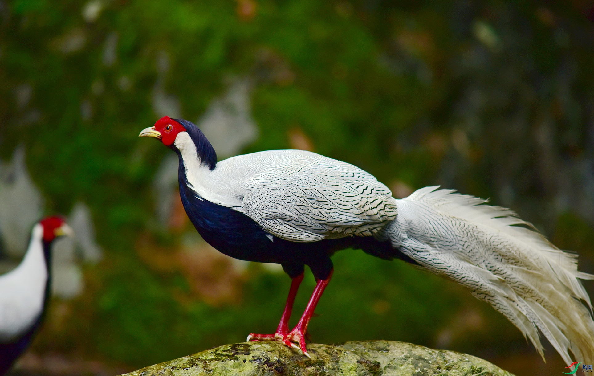 D8I_0546.jpg