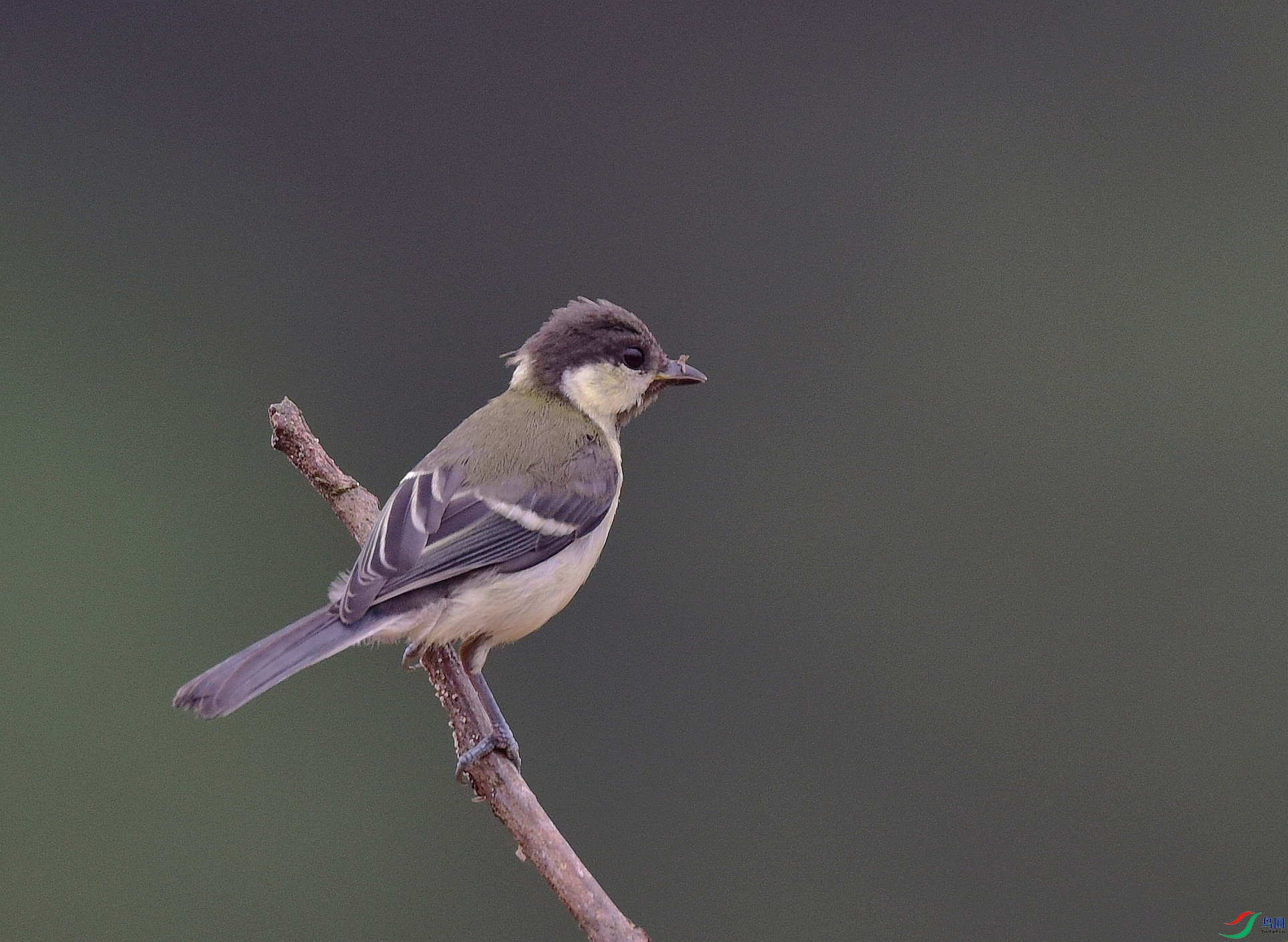 D8I_1622.jpg