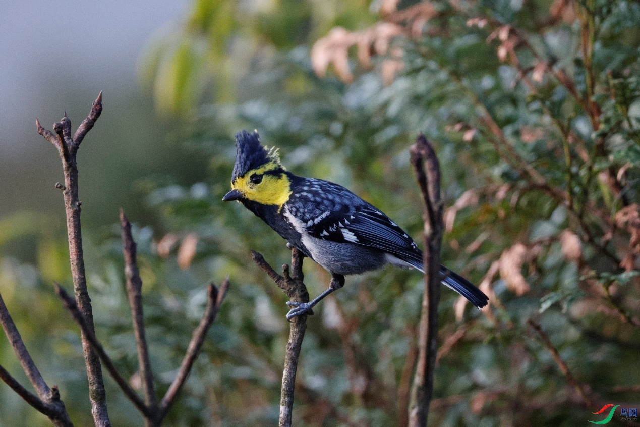 image003.jpg