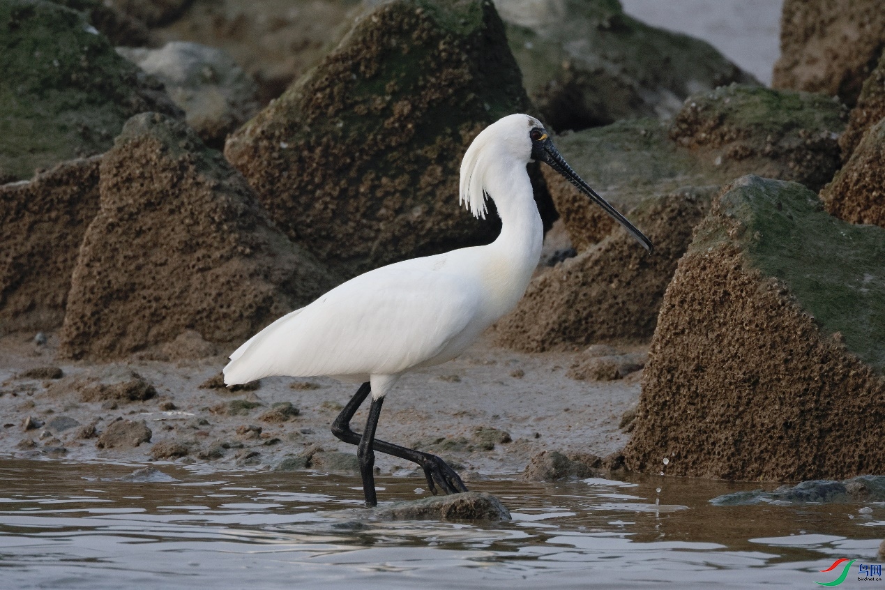 image010.jpg