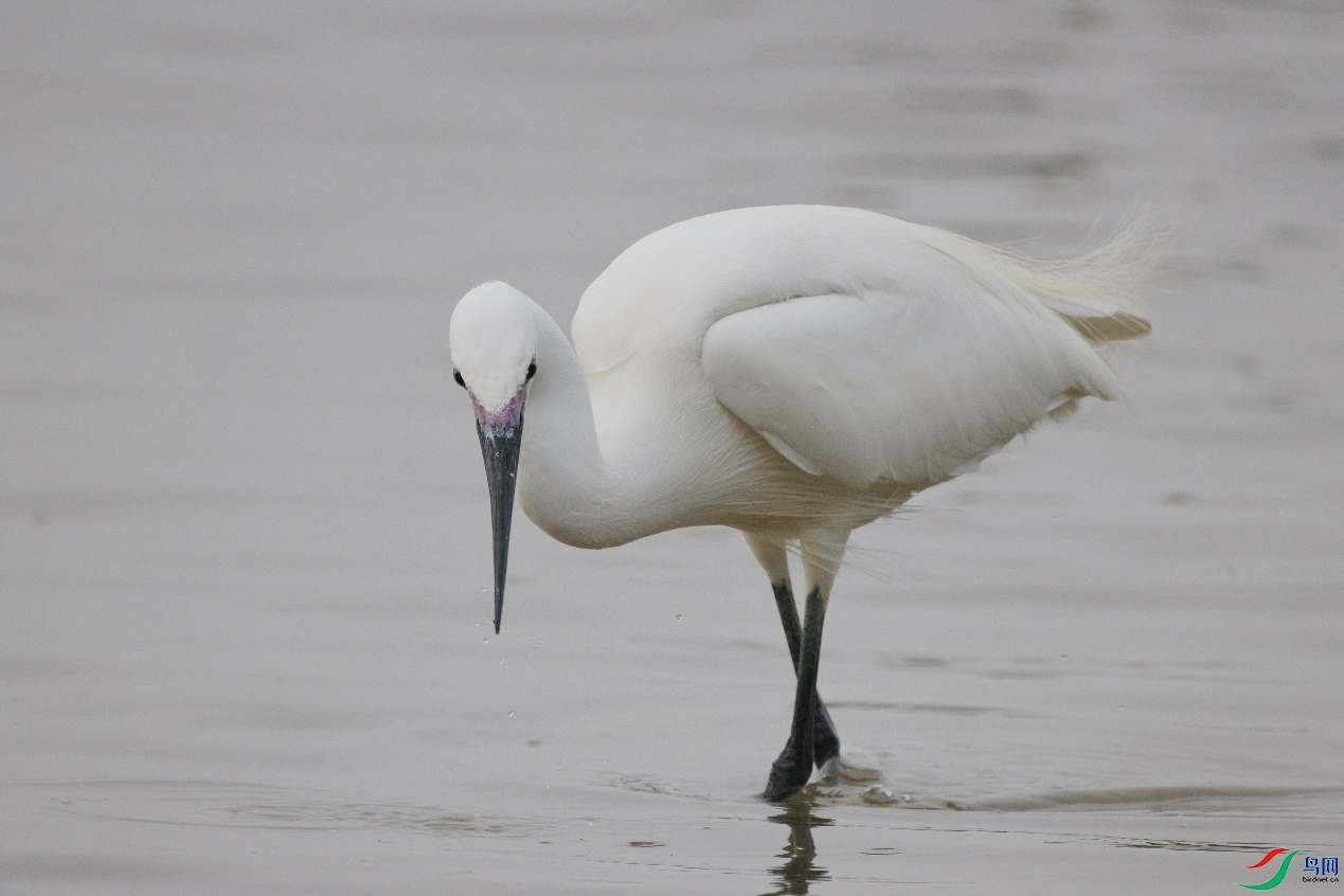 image014.jpg