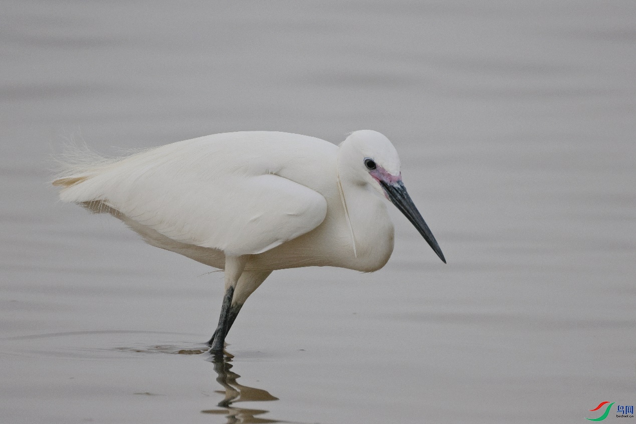 image013.jpg