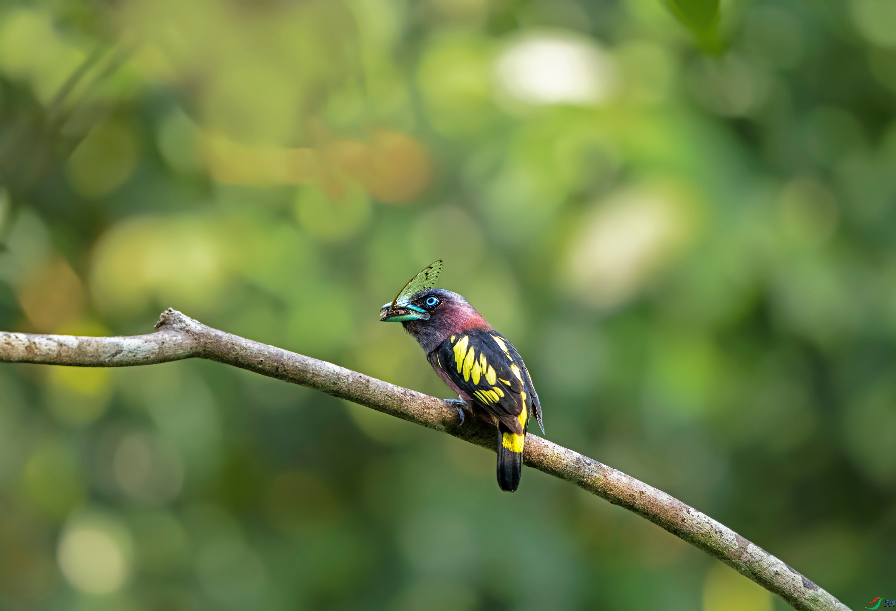 DSC_3504.jpg