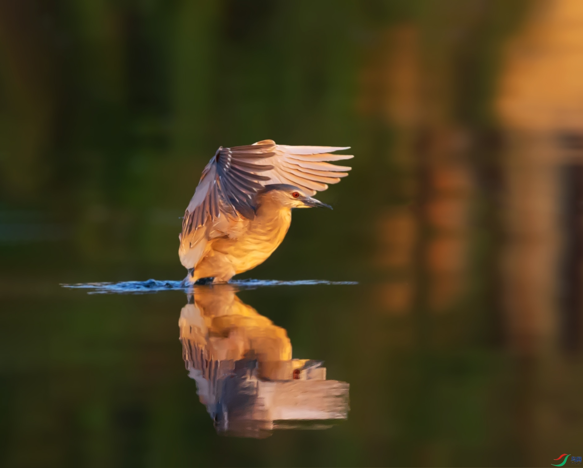 019A9686 ����.jpg