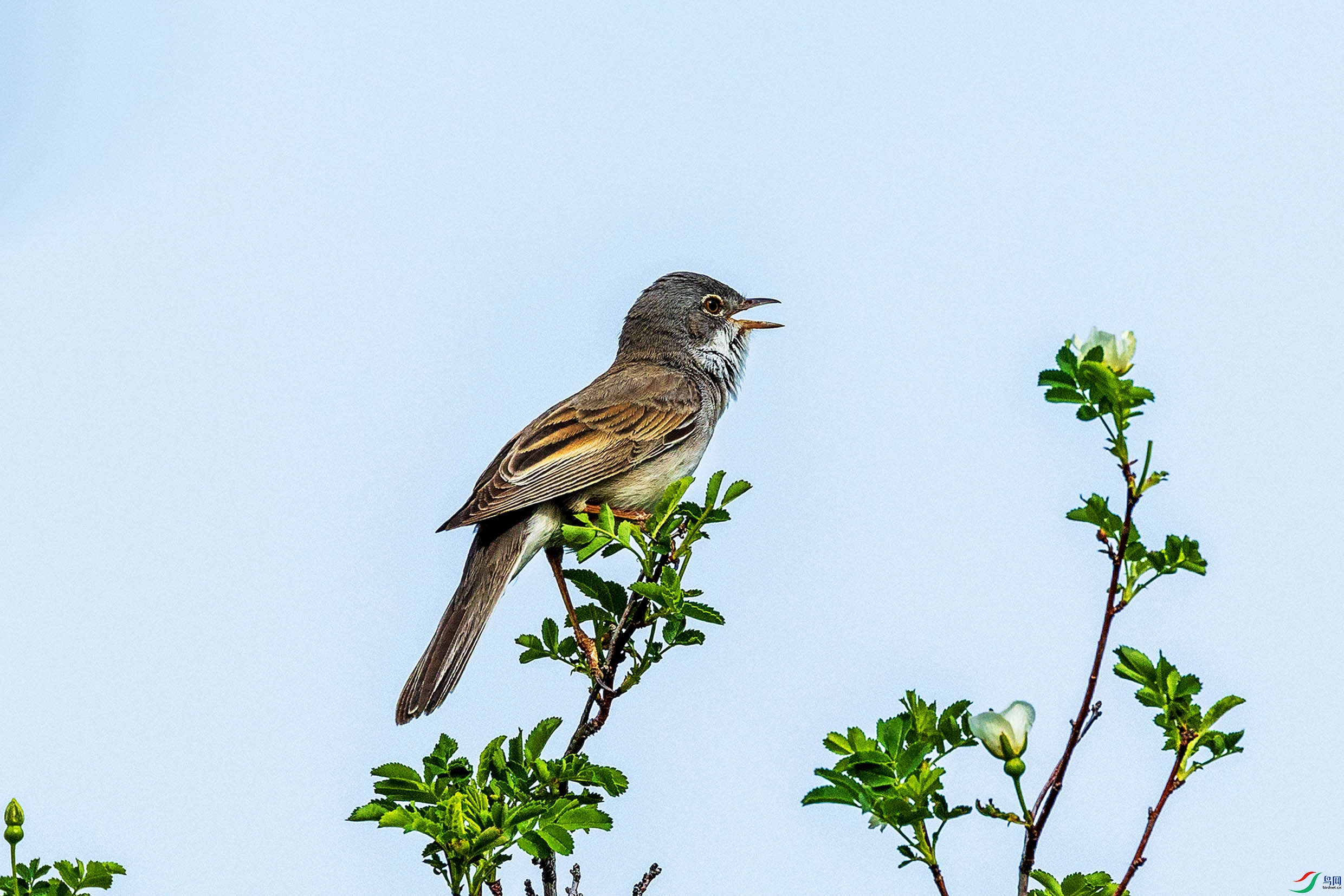 063A6181.jpgb1.jpg