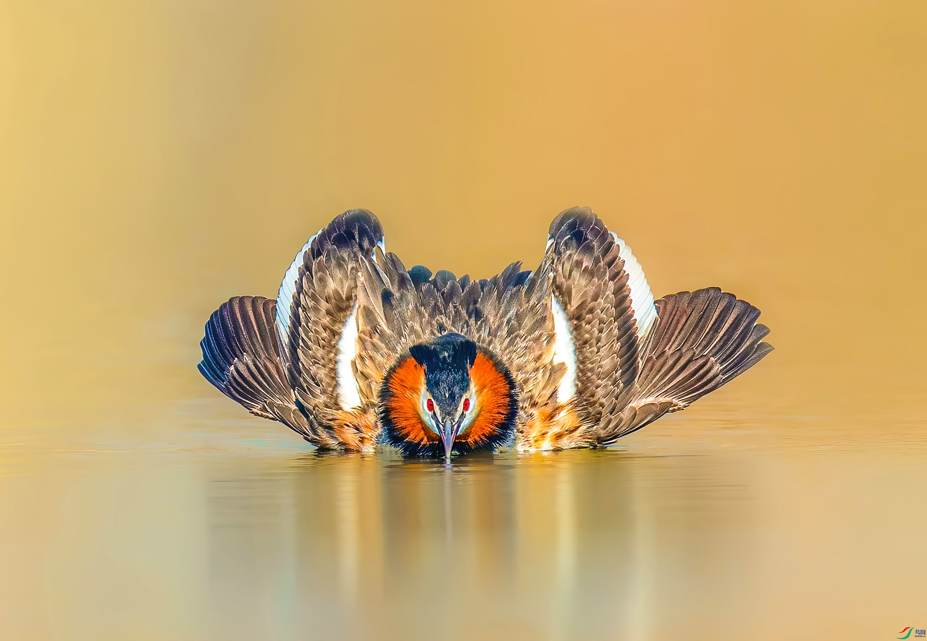 _JLN7833_1 ����OK.jpg