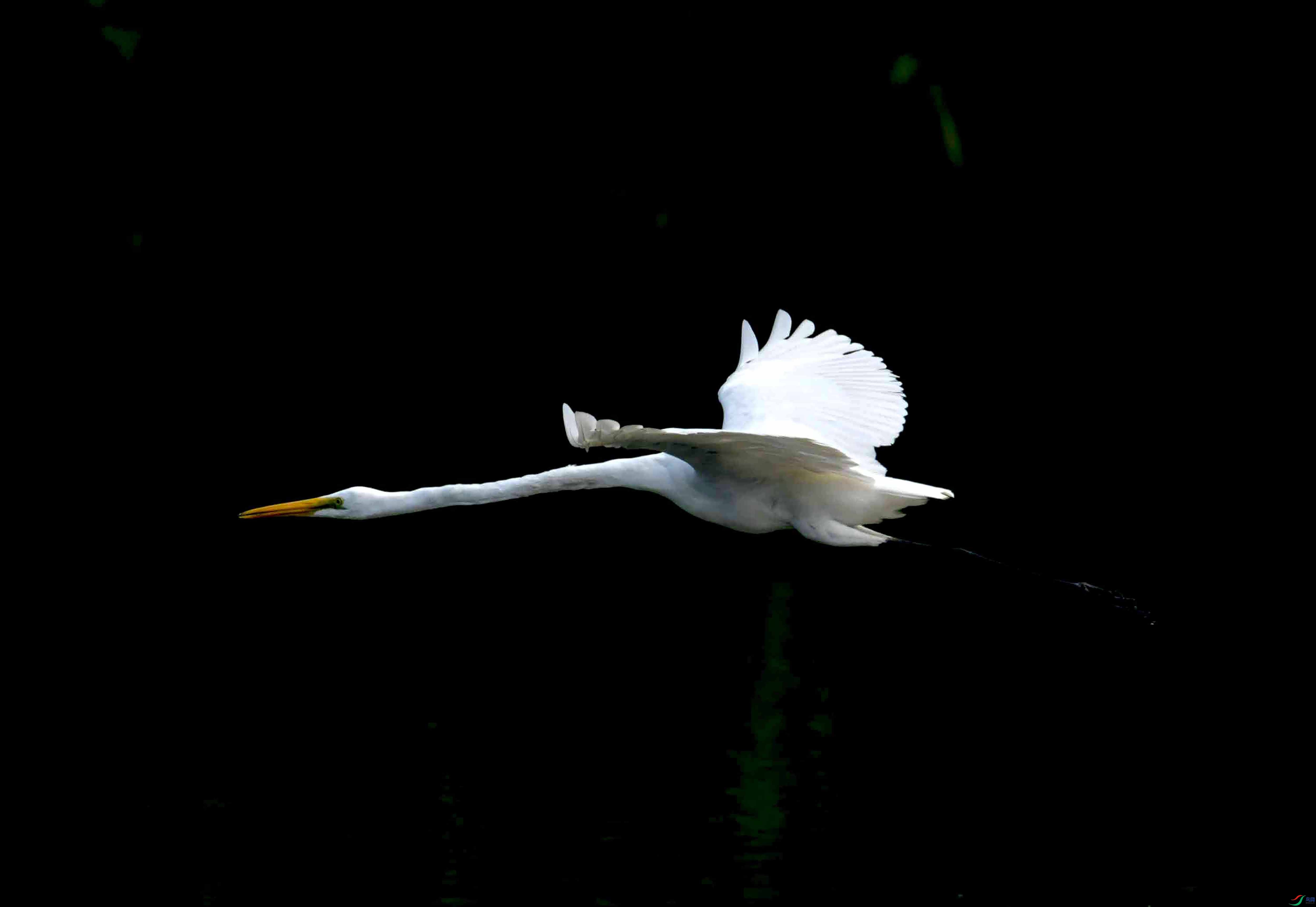 DSC_3383.JPG