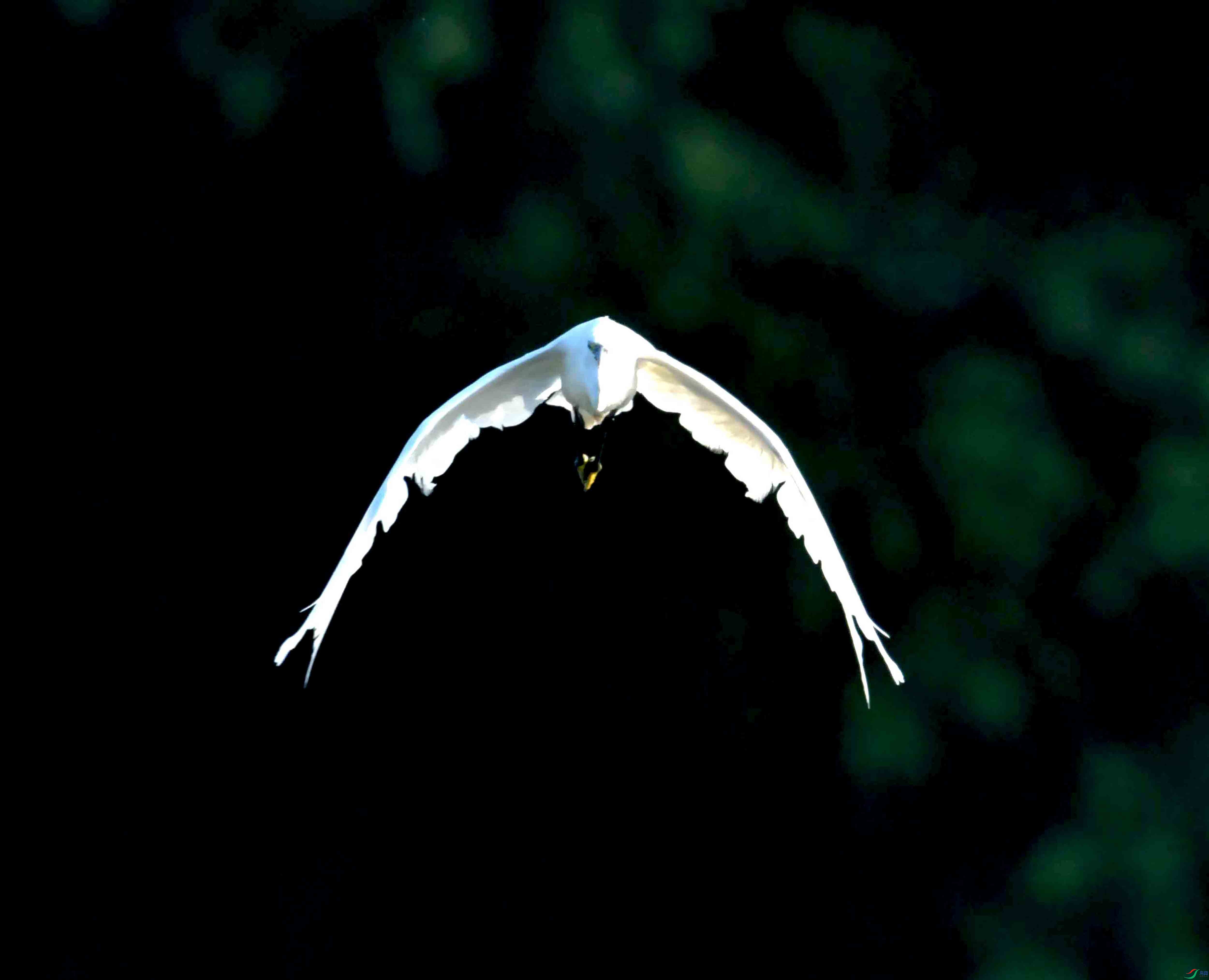 DSC_3399.JPG