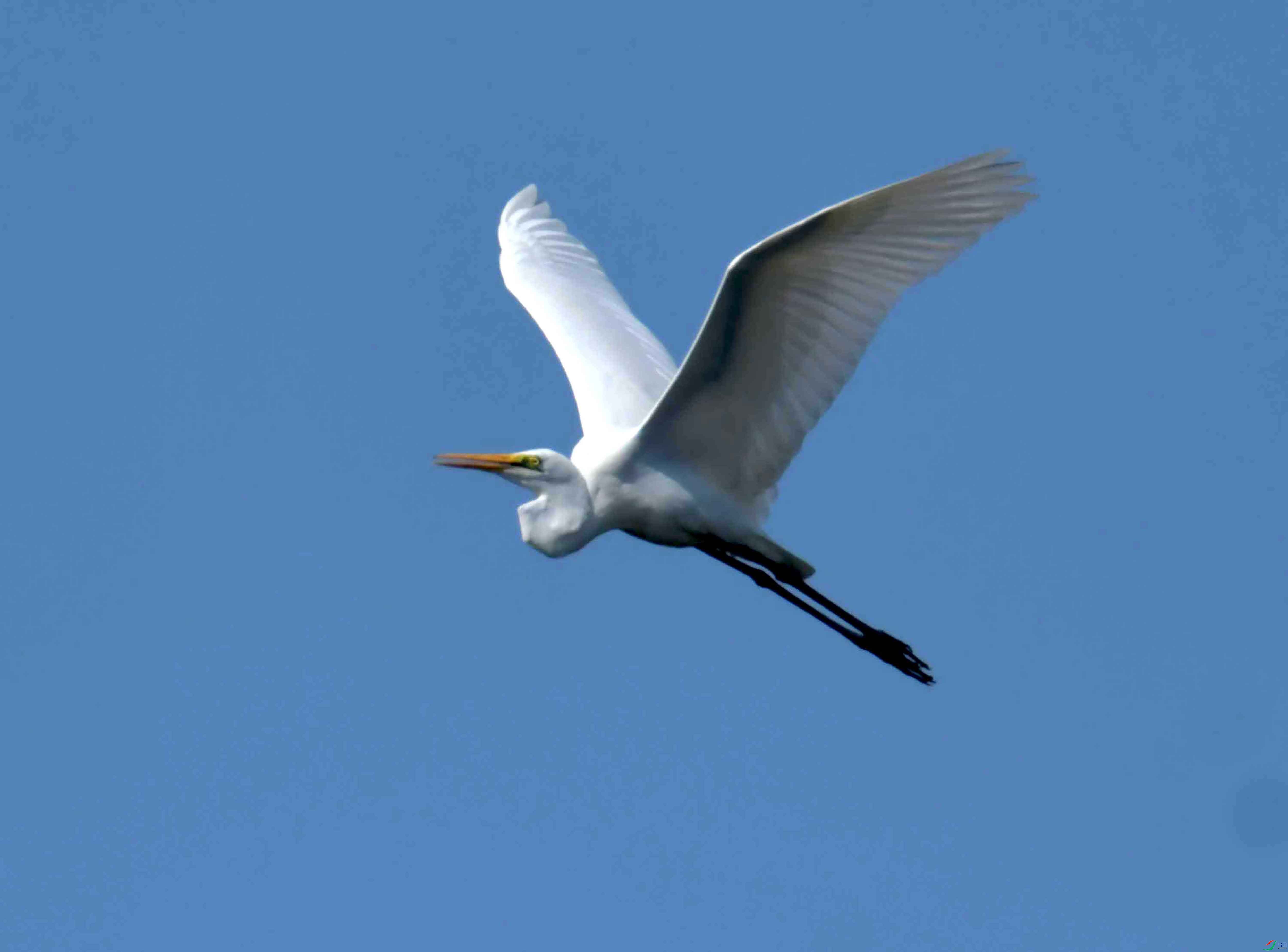 DSC_3563.JPG
