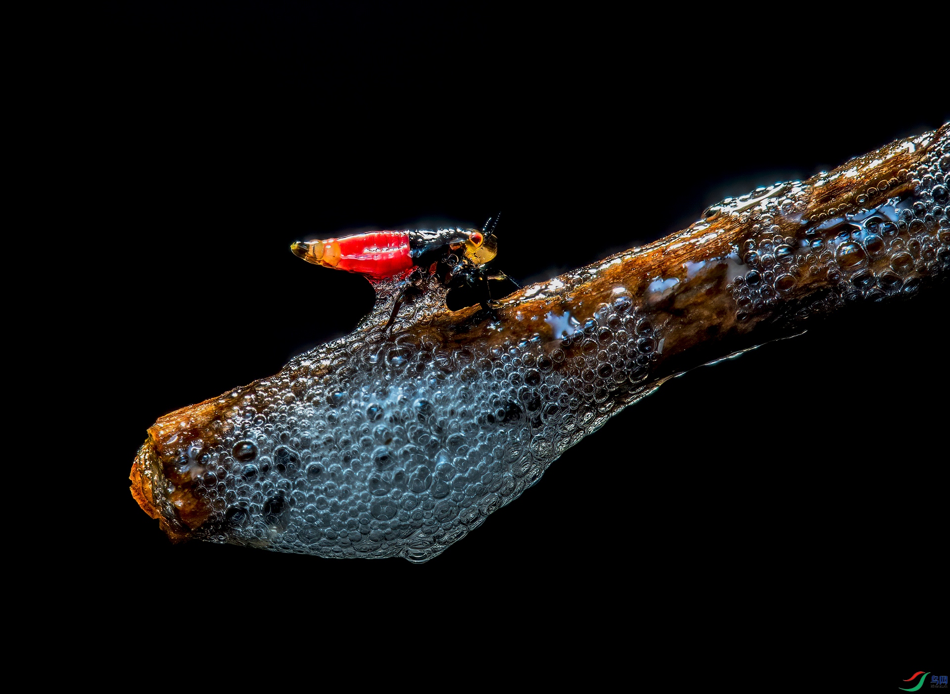 _DSC8591- ĭ��.jpg