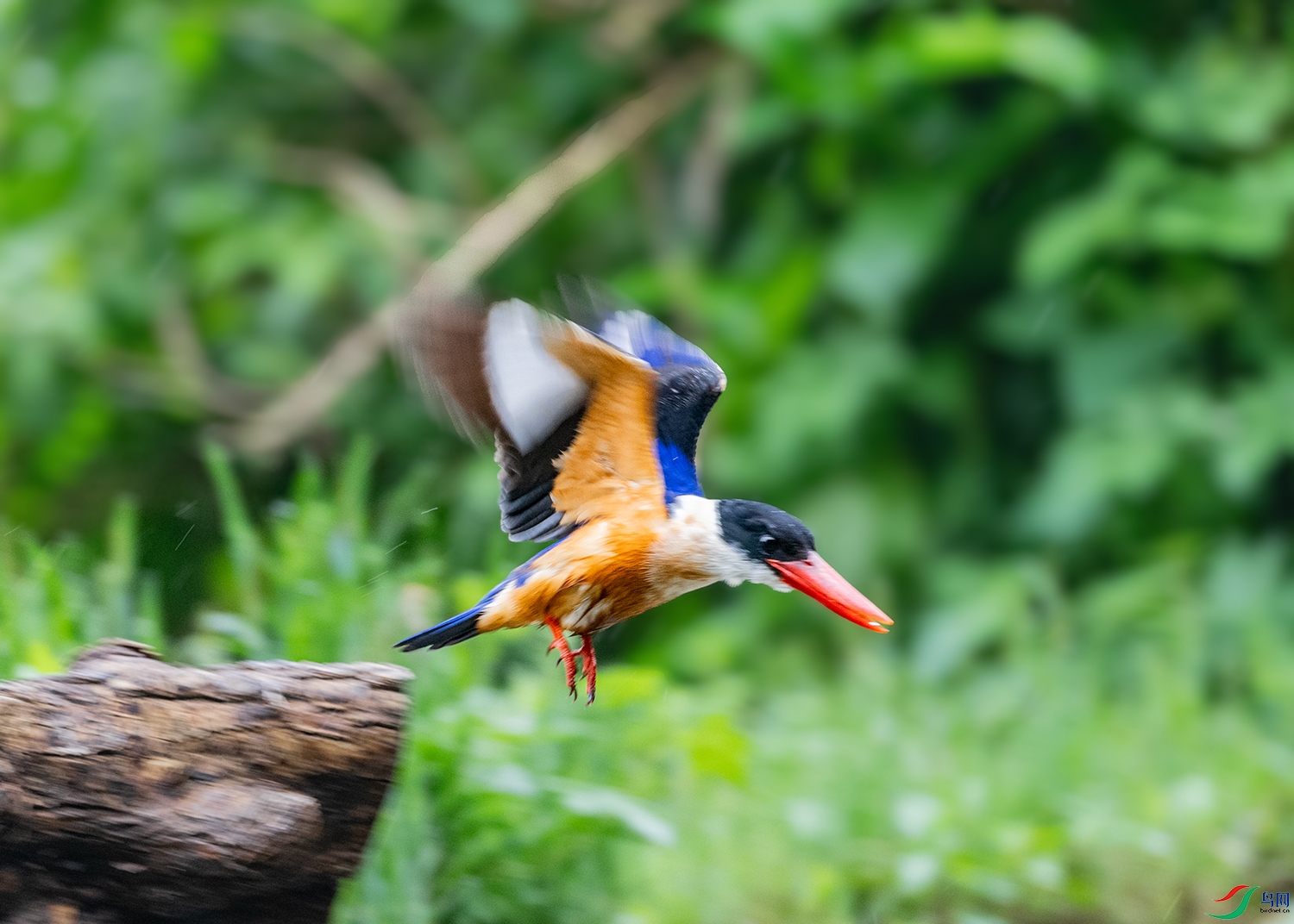 DSC_8265-2.jpg