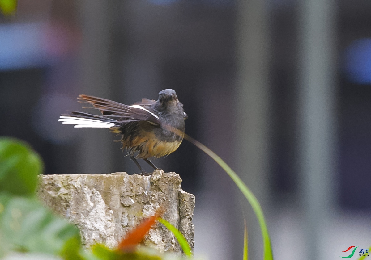 DSC_3590.JPG