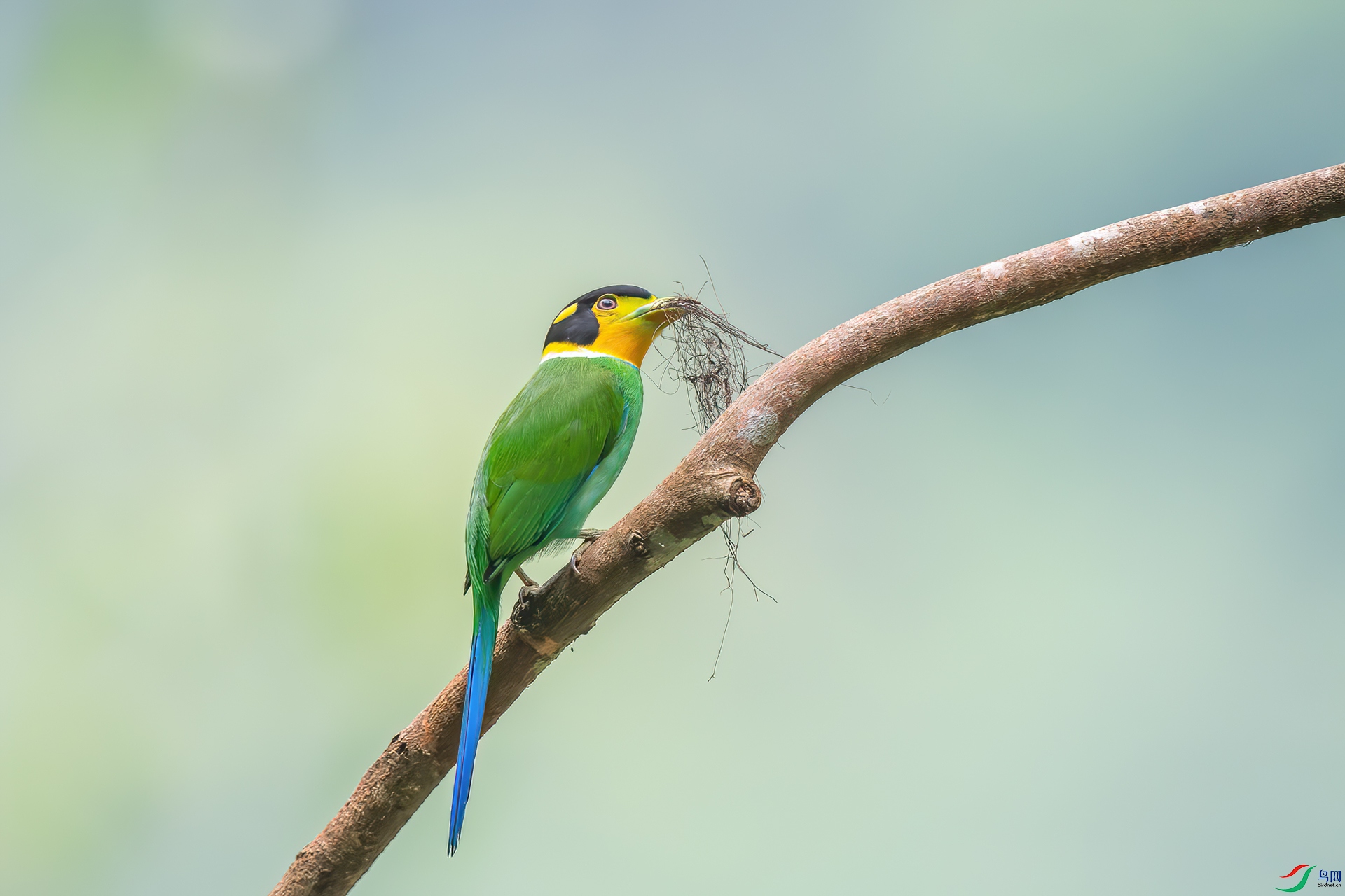 DSC_6835.jpg