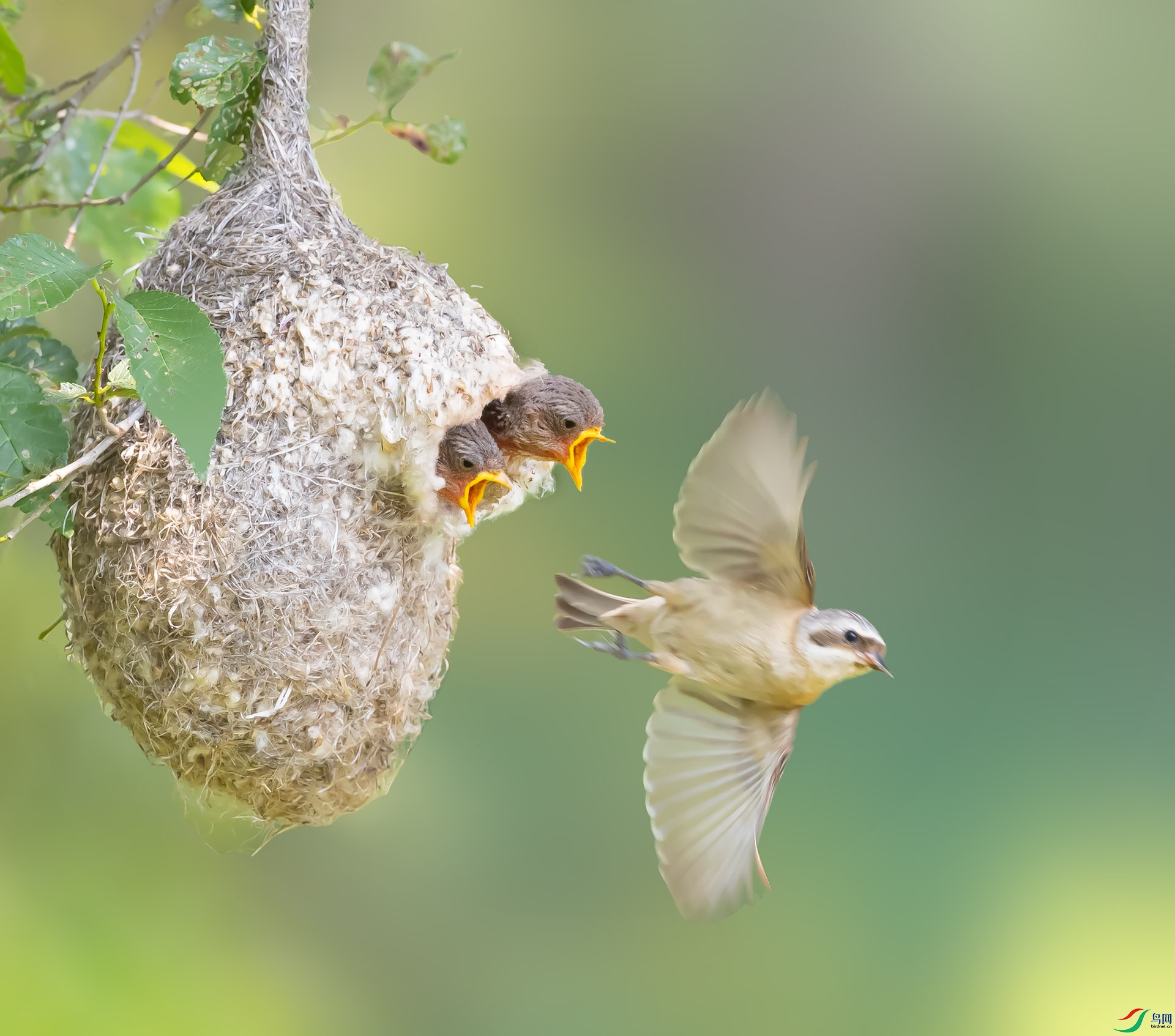 019A3023 ����.jpg