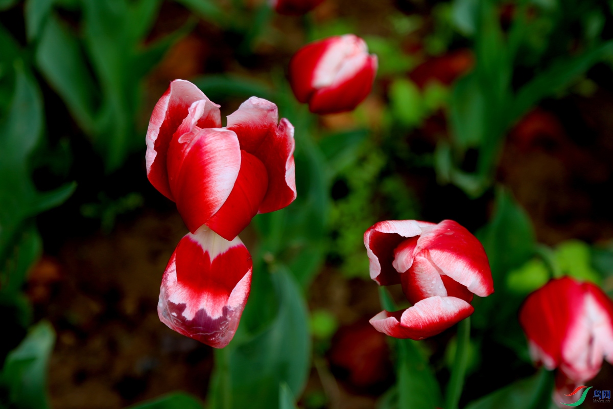 IMG_8335.jpg