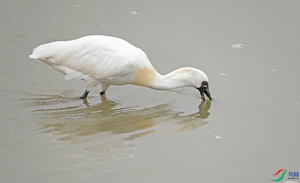DSCF5847.1.jpg