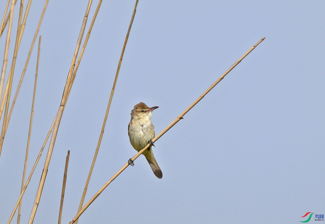 DSC_9248.jpg