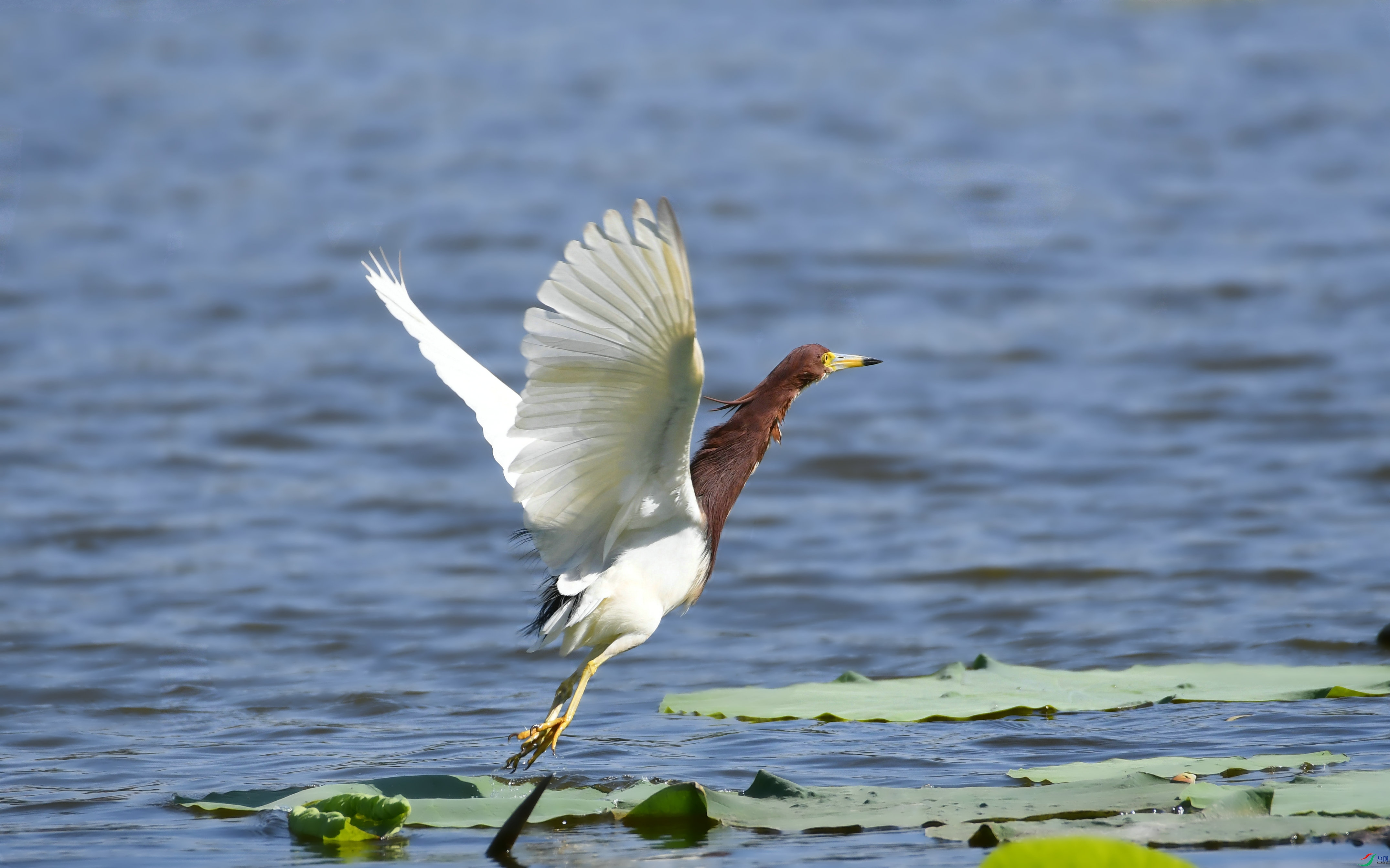 DSC_2754.JPG