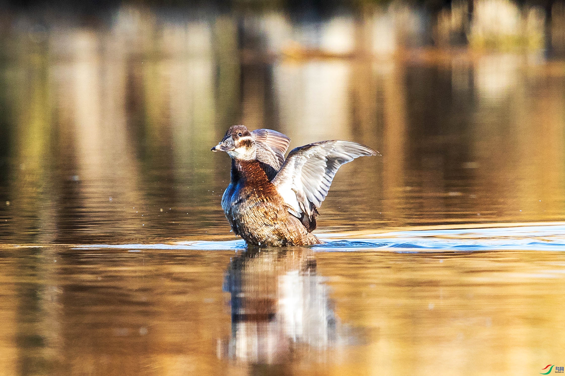 IMGL0260.psdb1.jpg