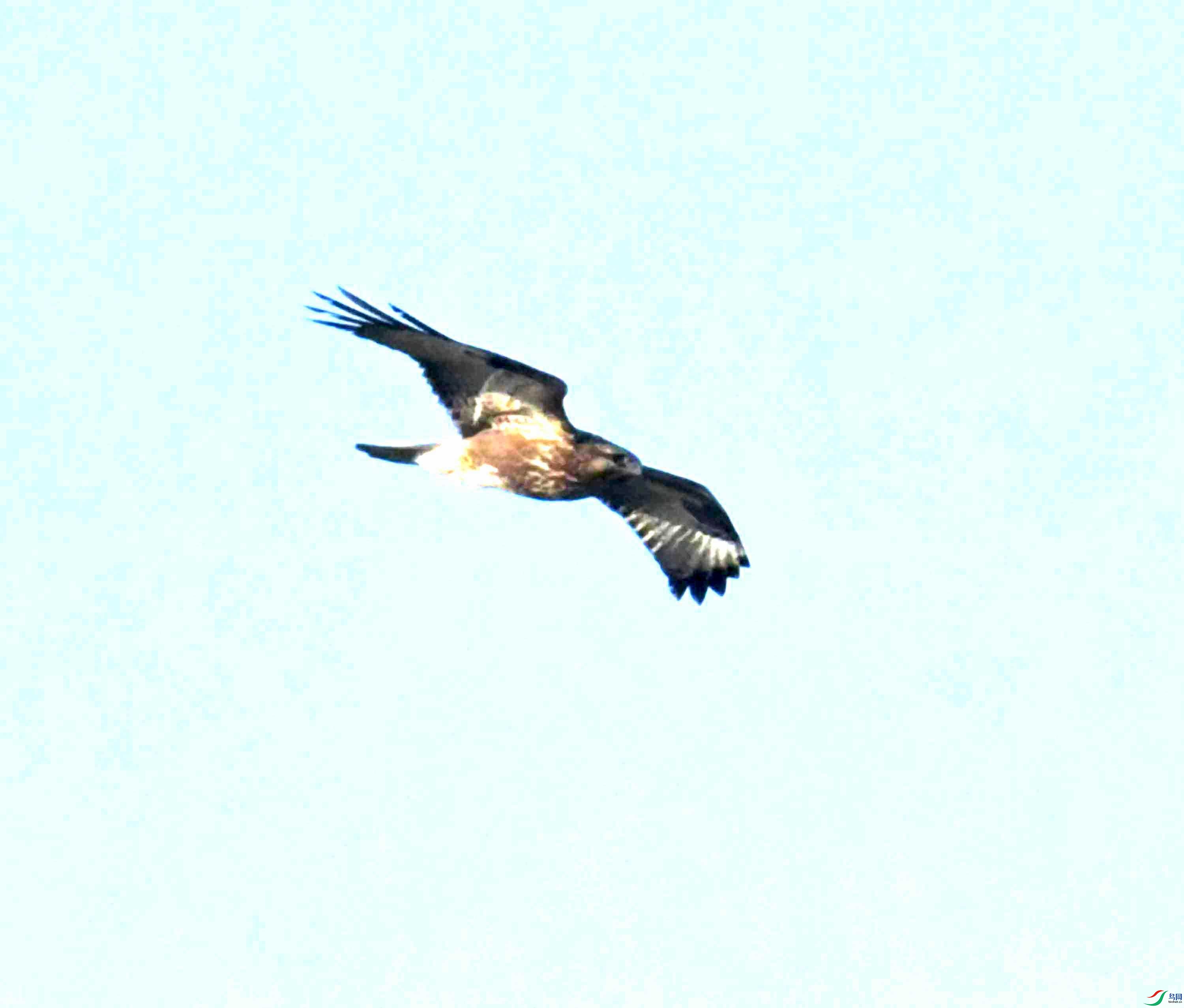 DSC_1049.JPG