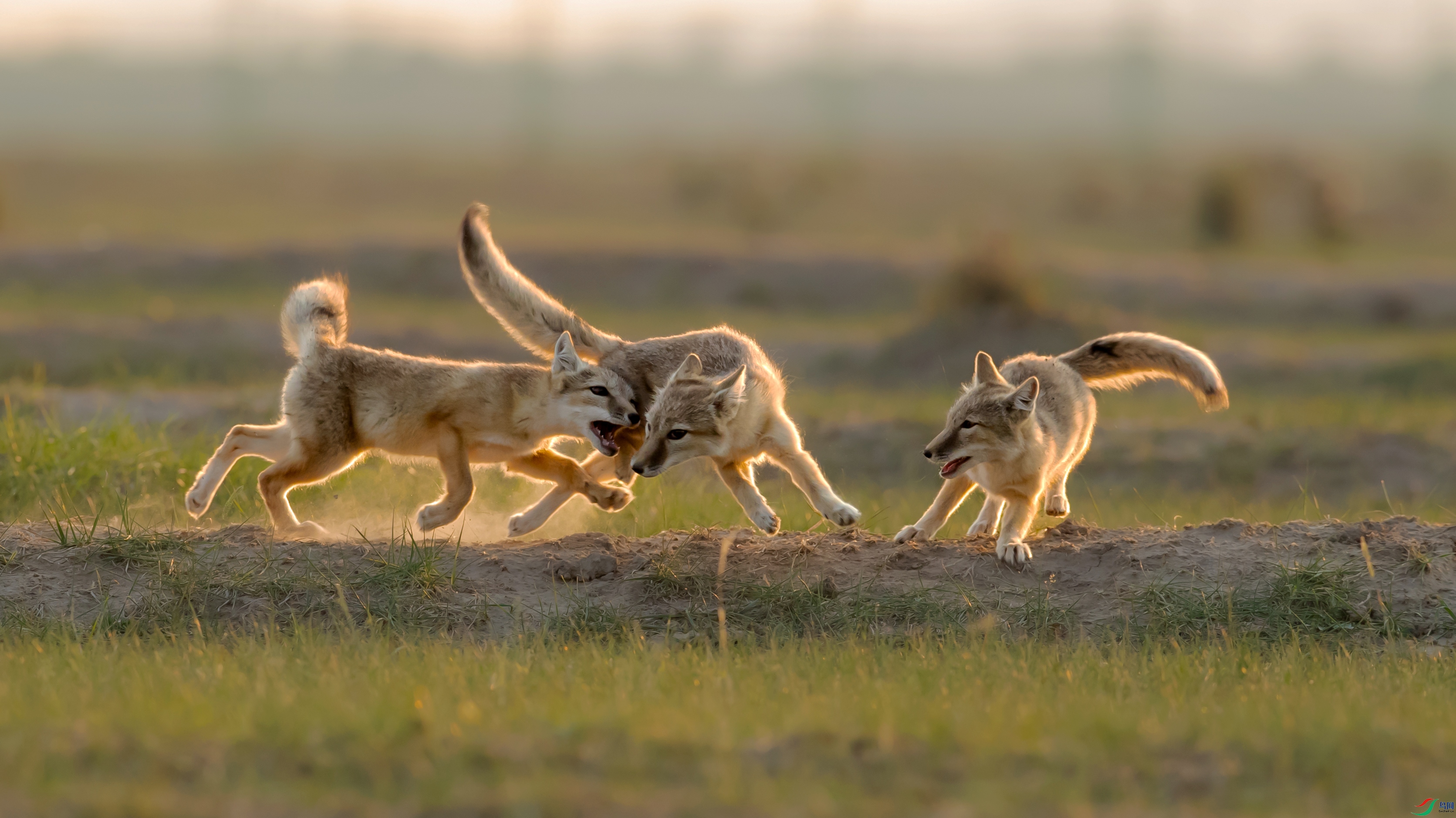 AN1I2764 ���� 2.jpg