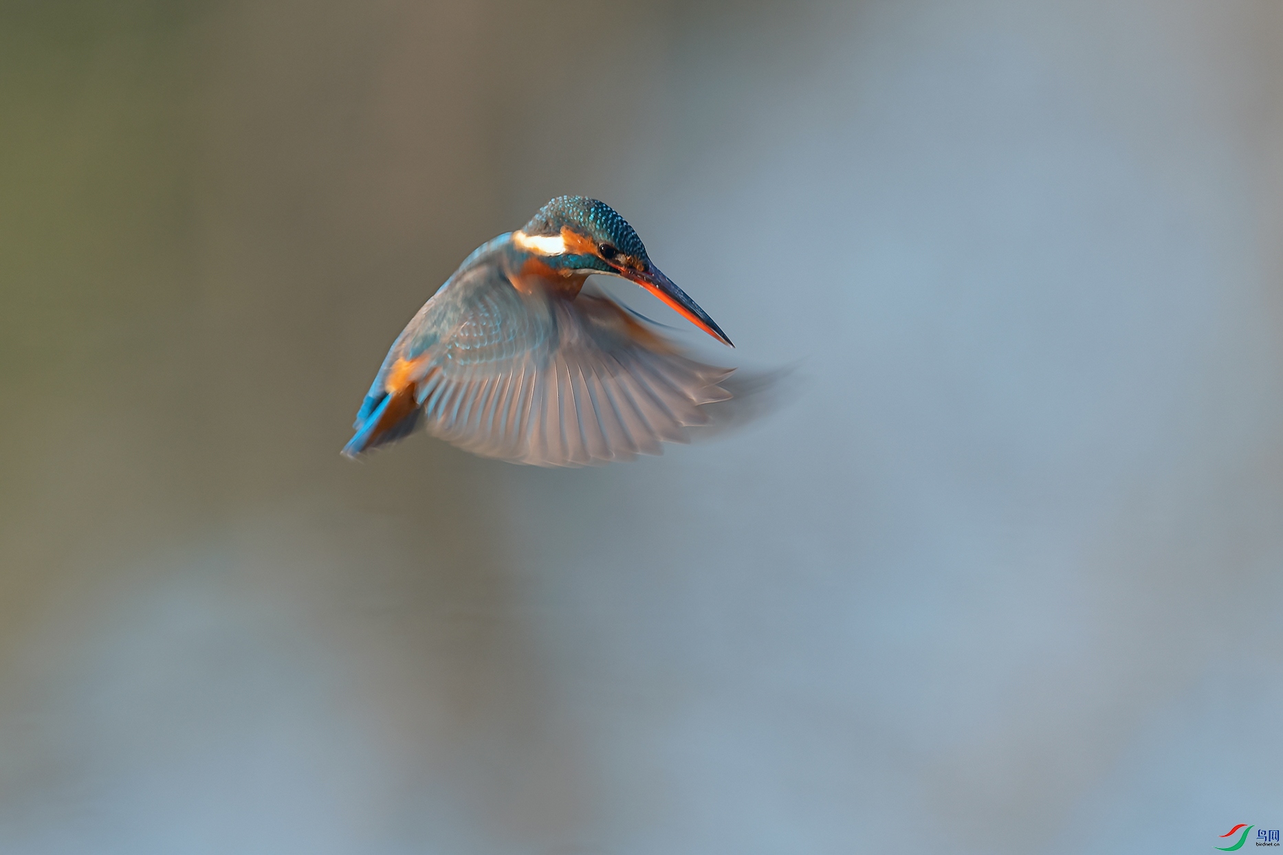 3DSC_5489_DxOa.jpg