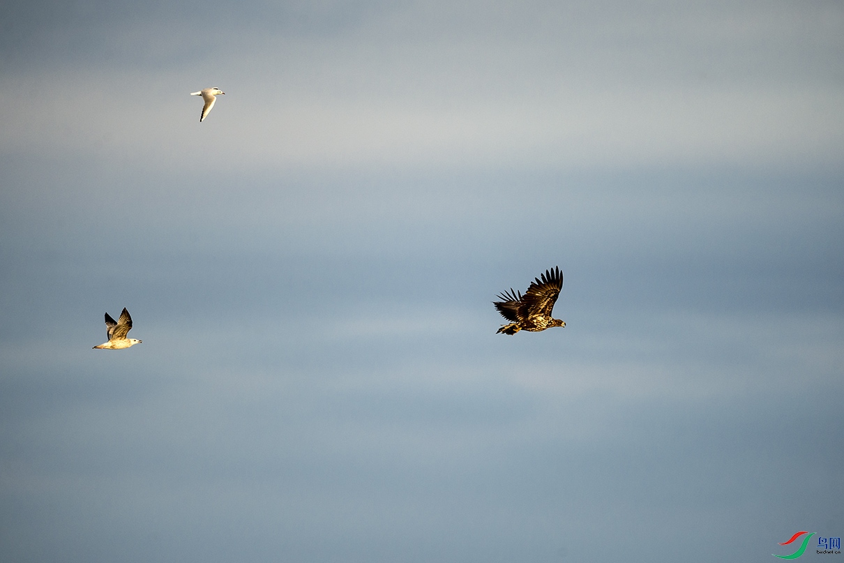 _DSC6309.jpg