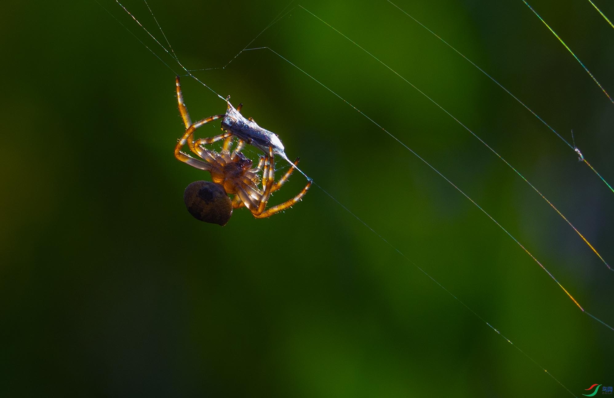 IMG_7876 ����.jpg